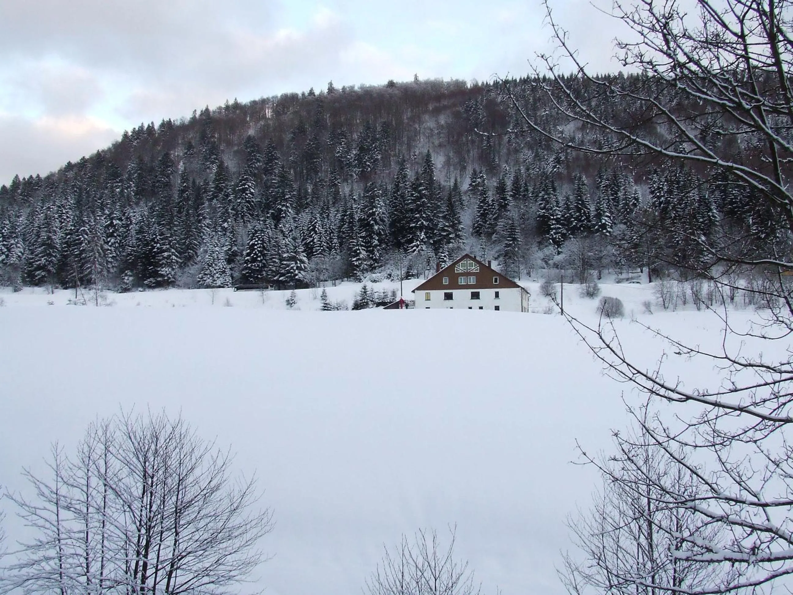 Domaine Des Hauts Viaux