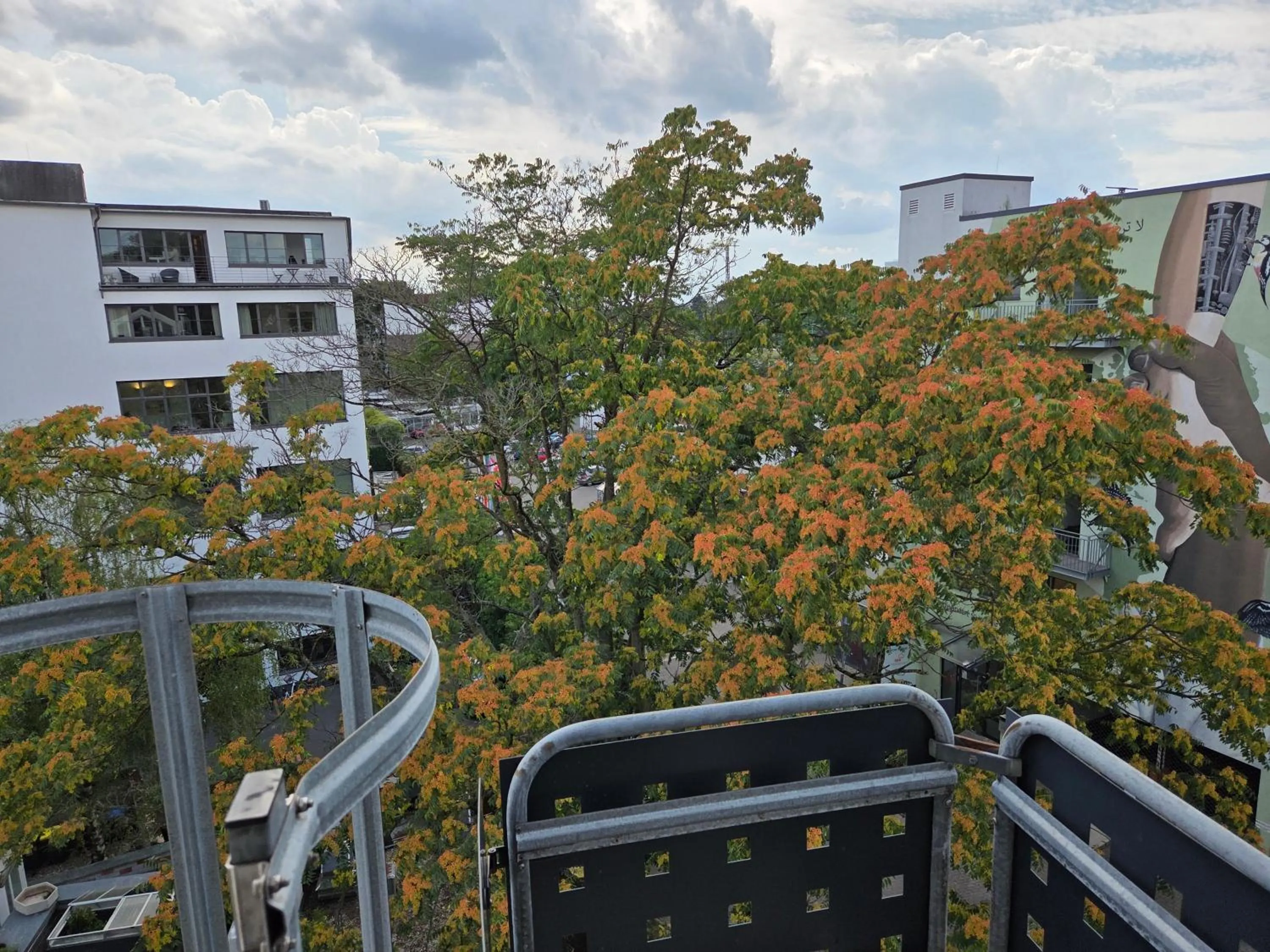 View (from property/room) in CityPark Hotel