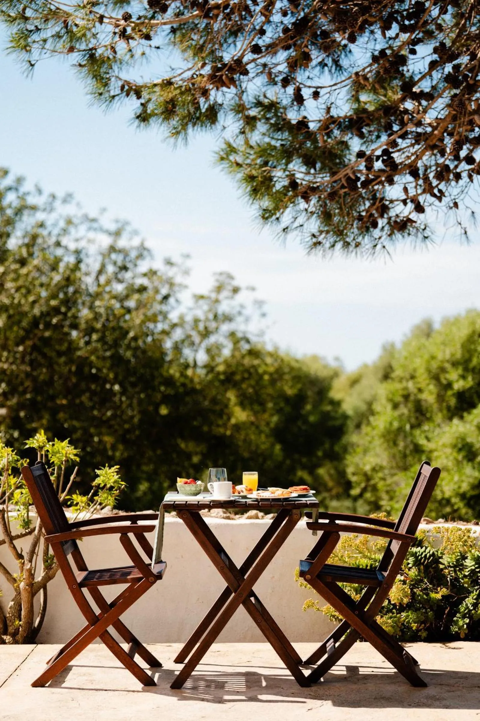 Buffet breakfast in Hotel Rural Binigaus Vell