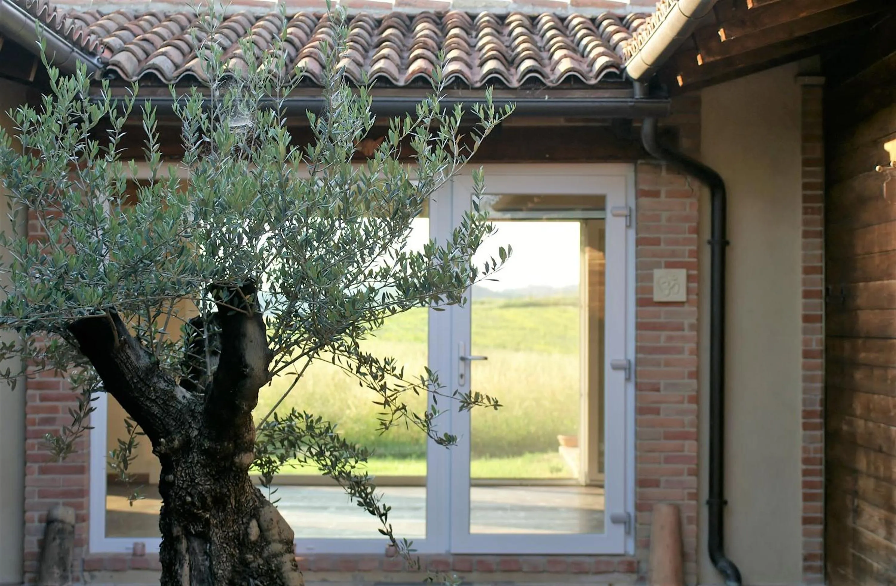 Massage in Country House Montessino - adults only