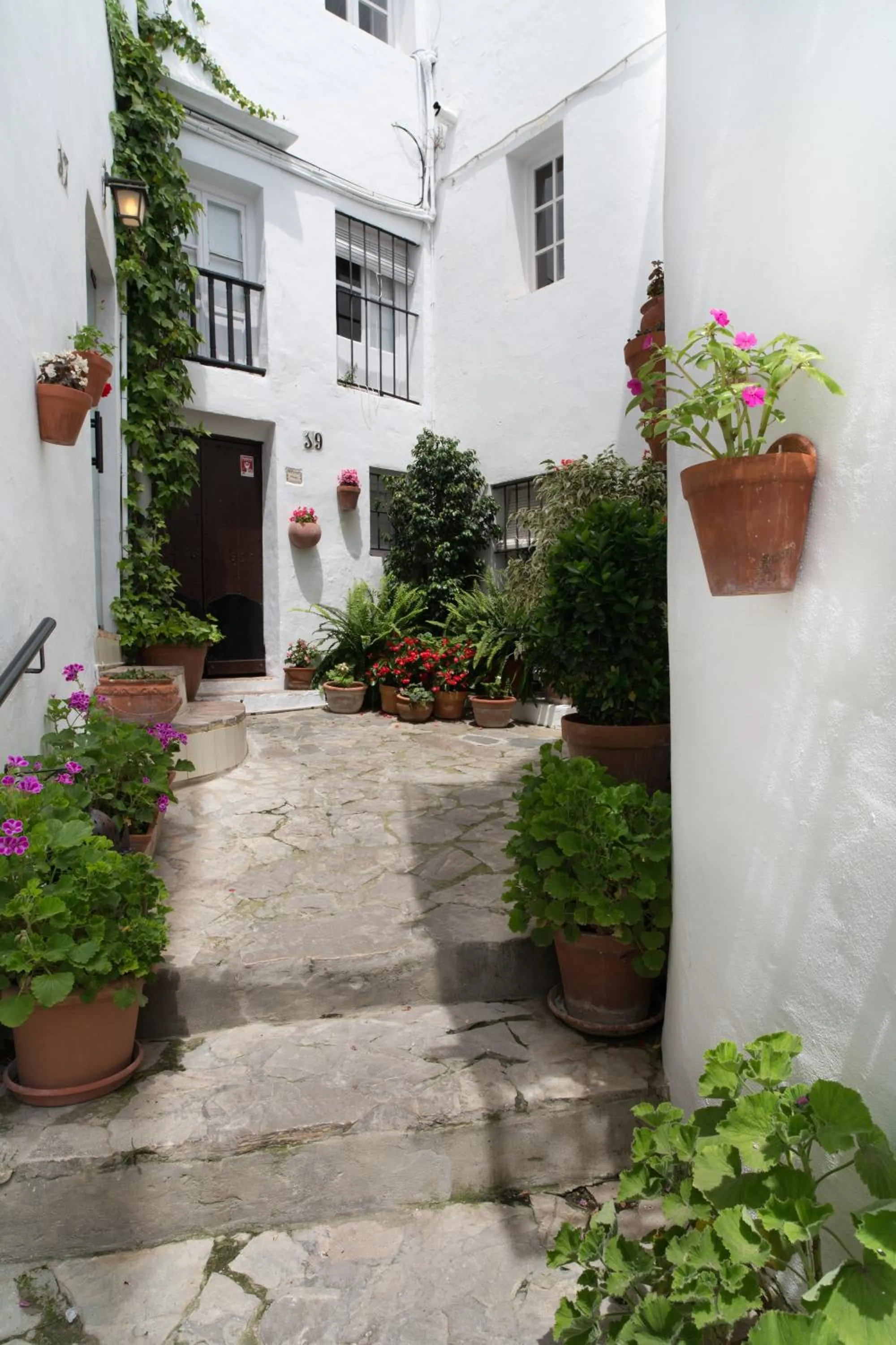 Area and facilities in Hotel La Casa del Califa