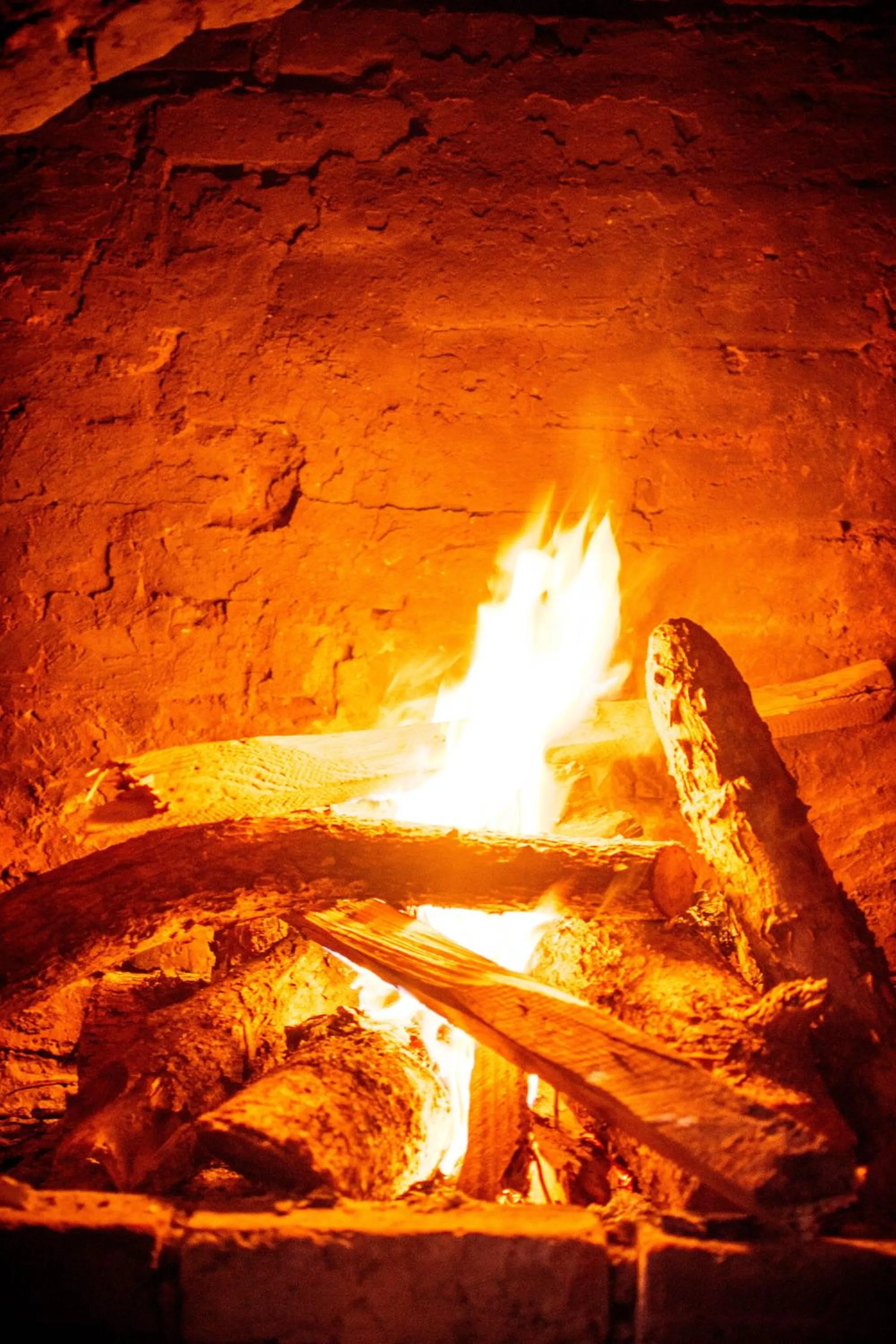 Lounge or bar in Masailand Safari Lodge