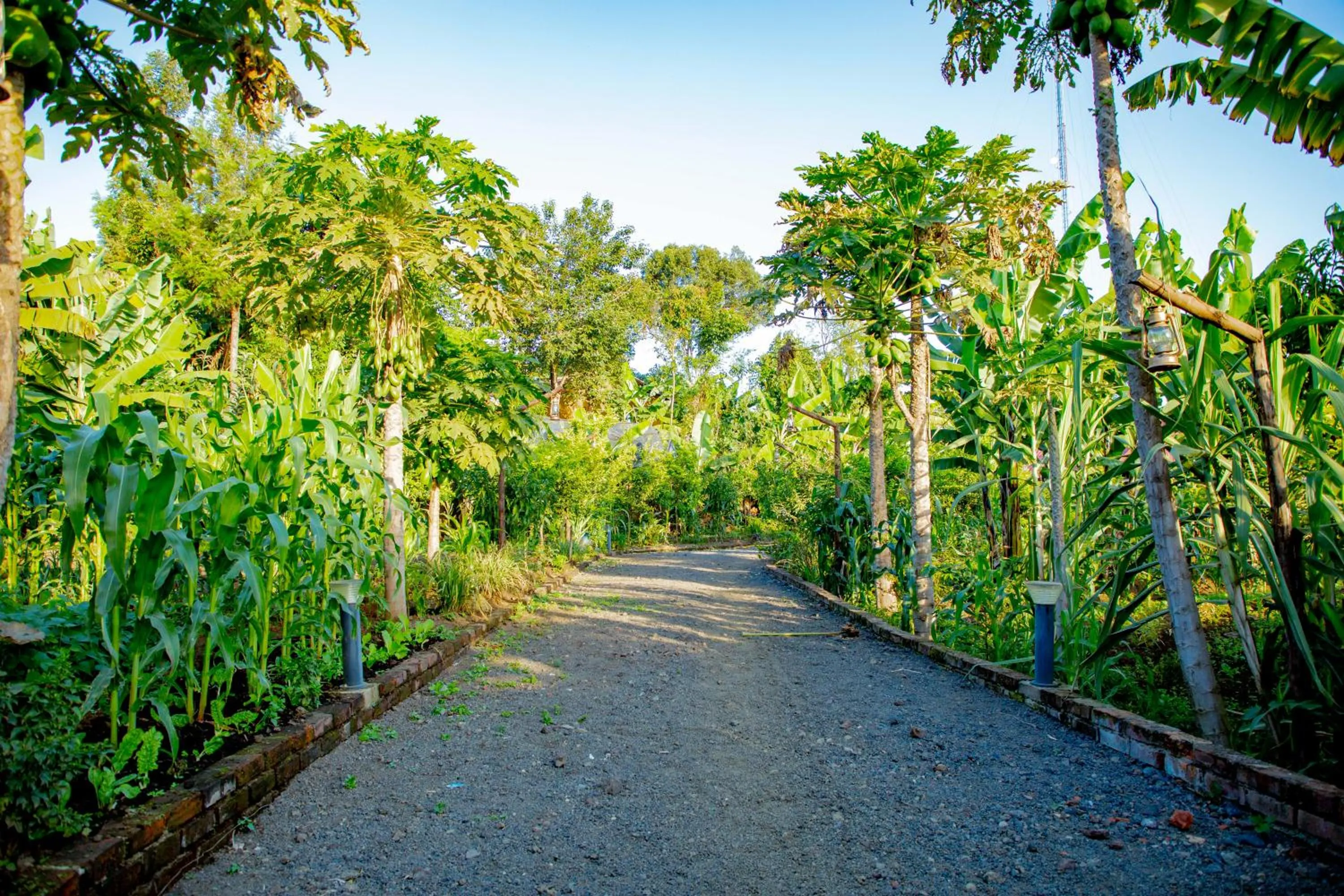 Masailand Safari Lodge
