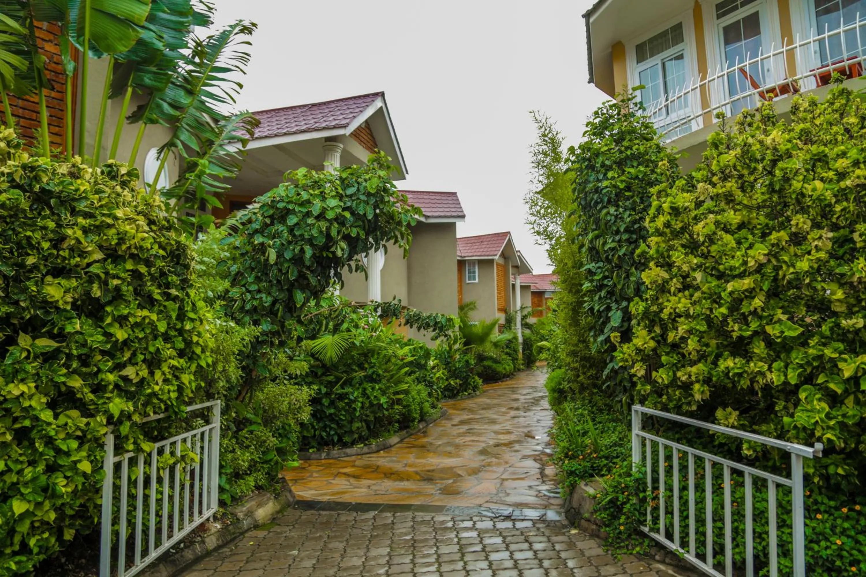 Property building in Masailand Safari Lodge