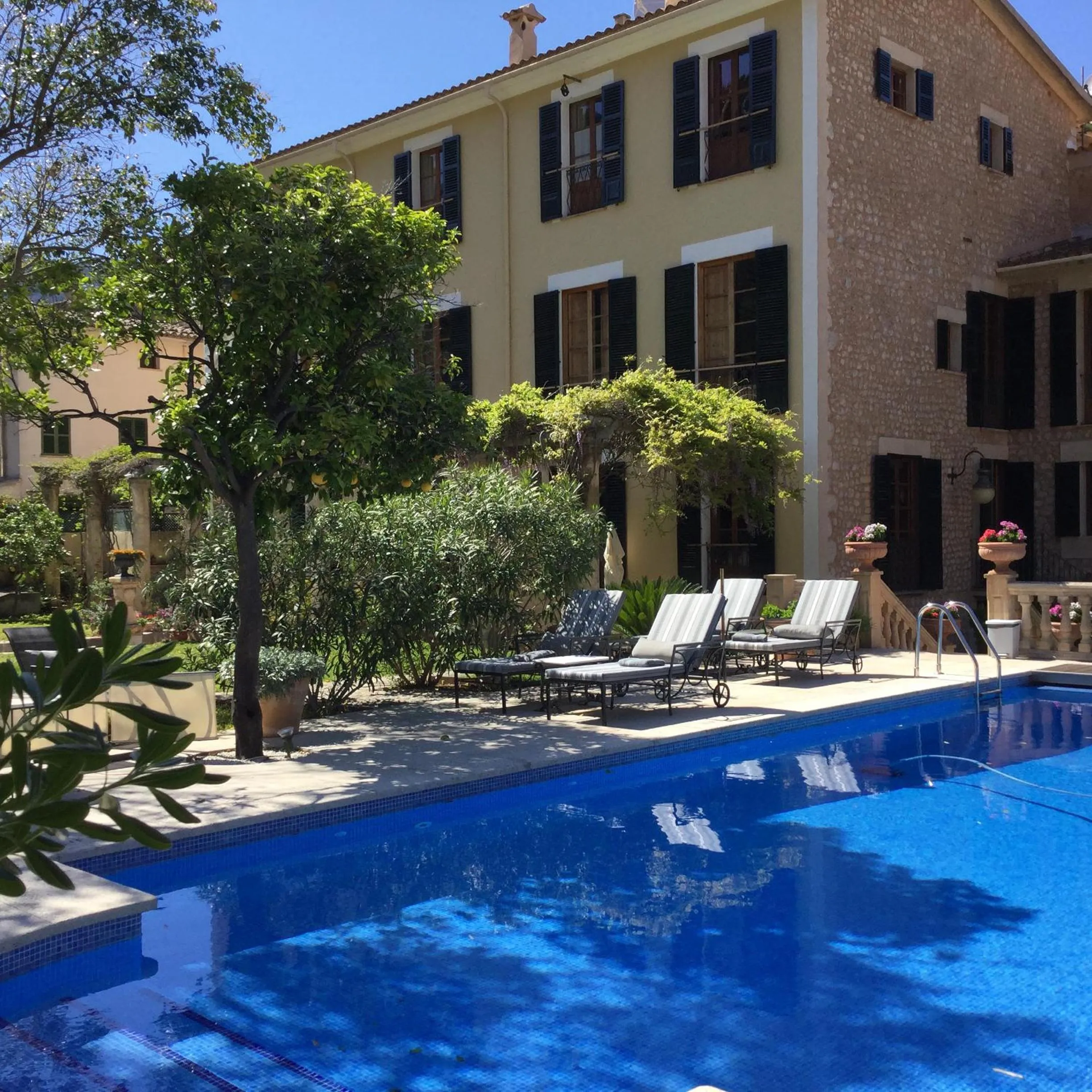 Pool view in The Salvia - Adults Only