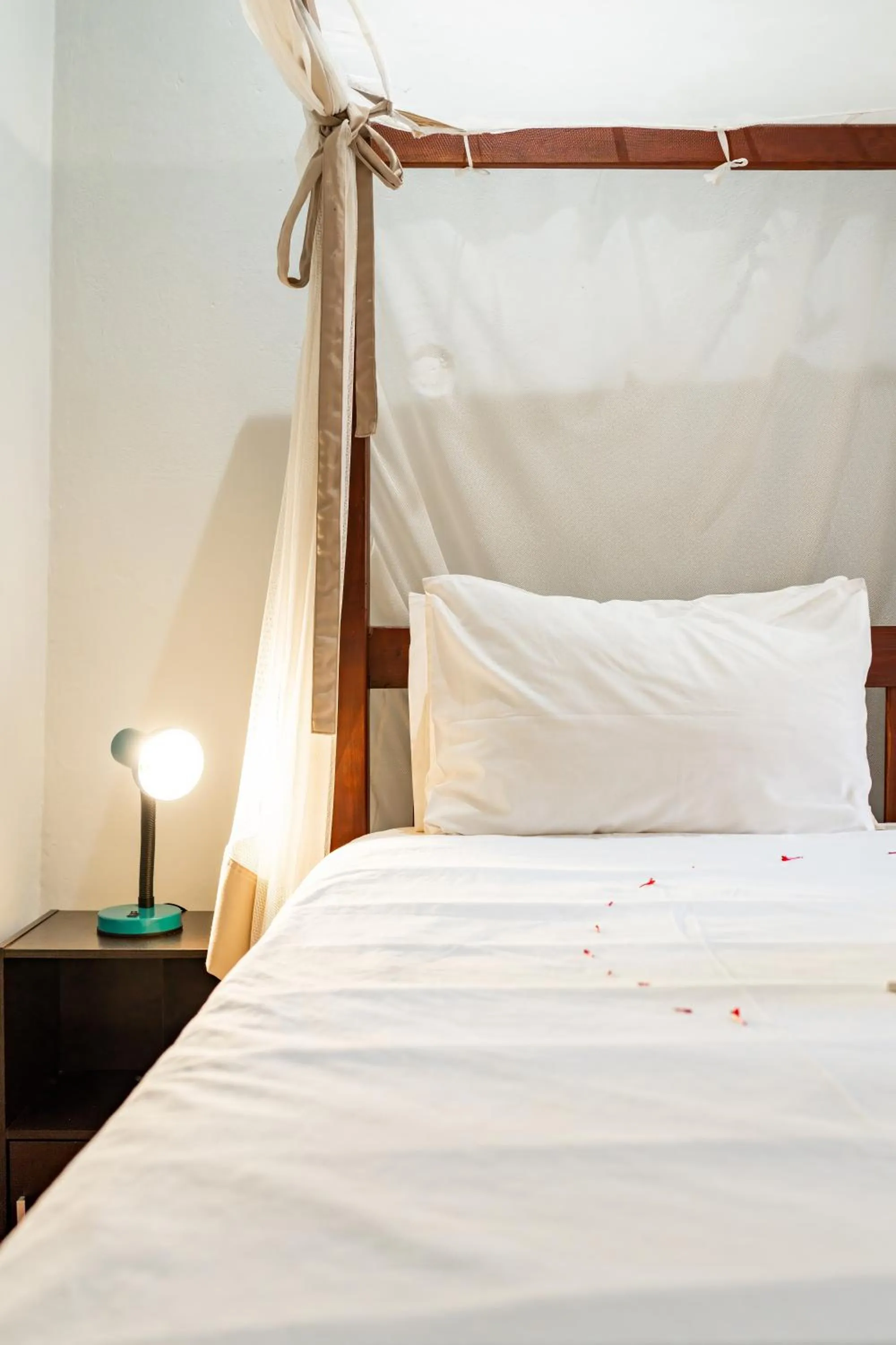 Bed in Shoestrings Backpackers Lodge Vic Falls