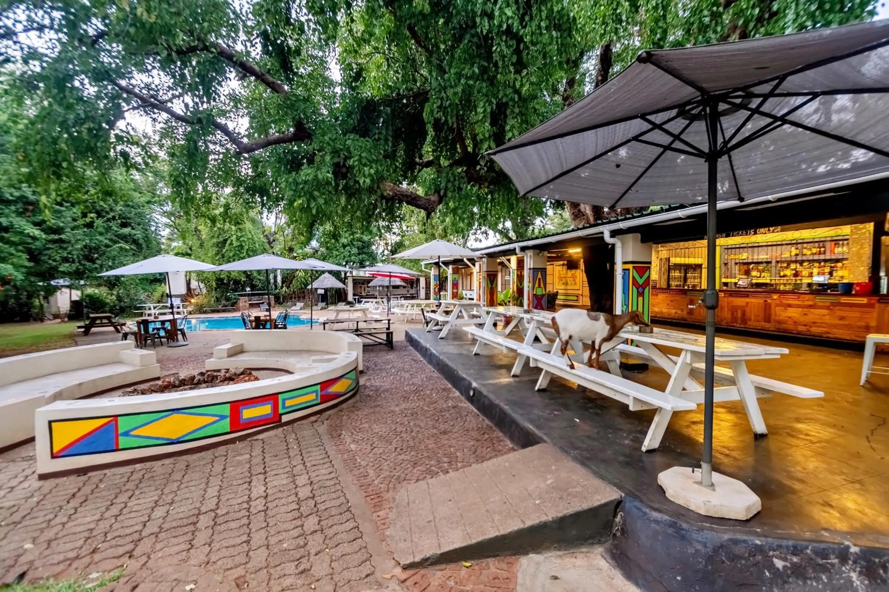 Property building in Shoestrings Backpackers Lodge Vic Falls