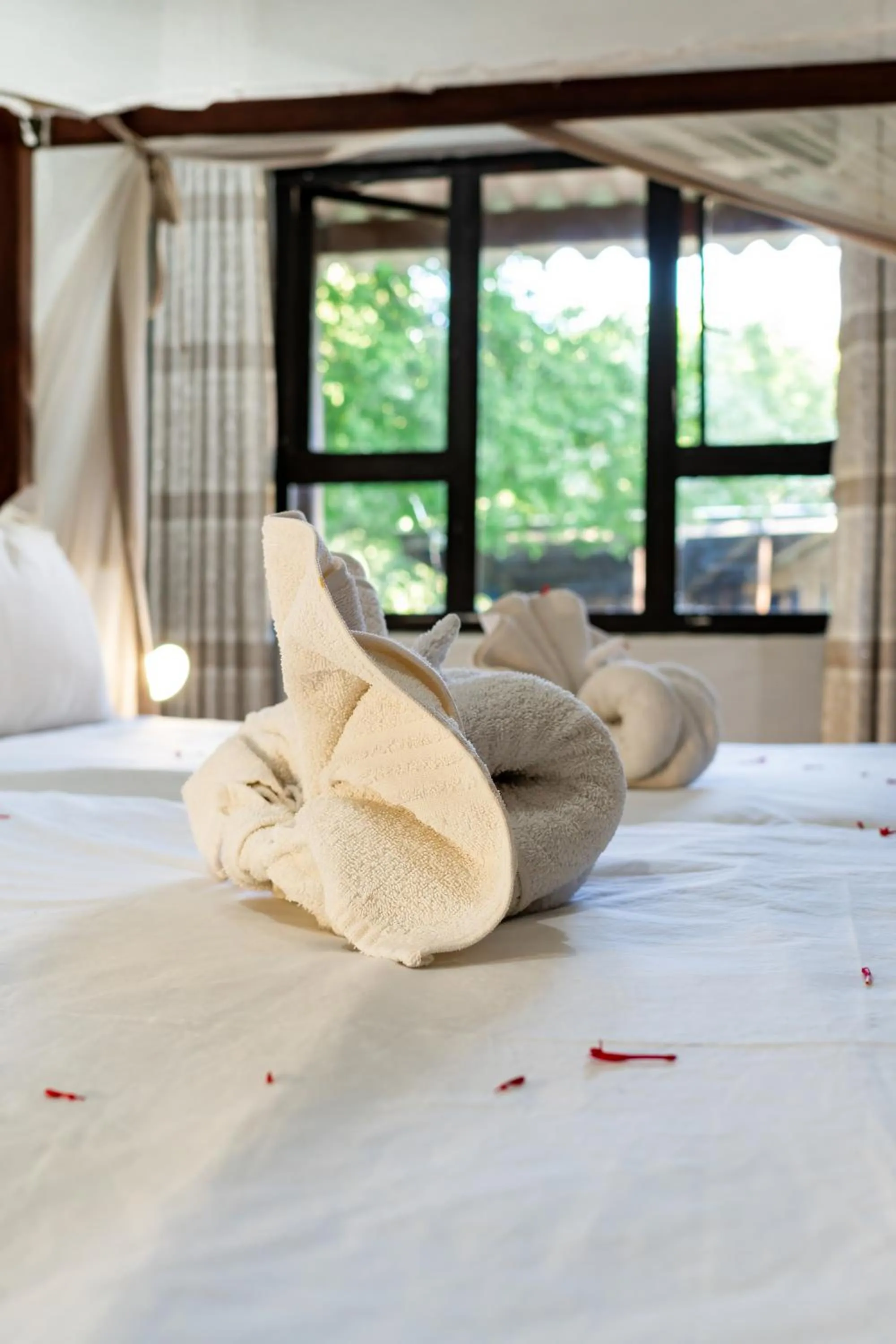 Bed in Shoestrings Backpackers Lodge Vic Falls