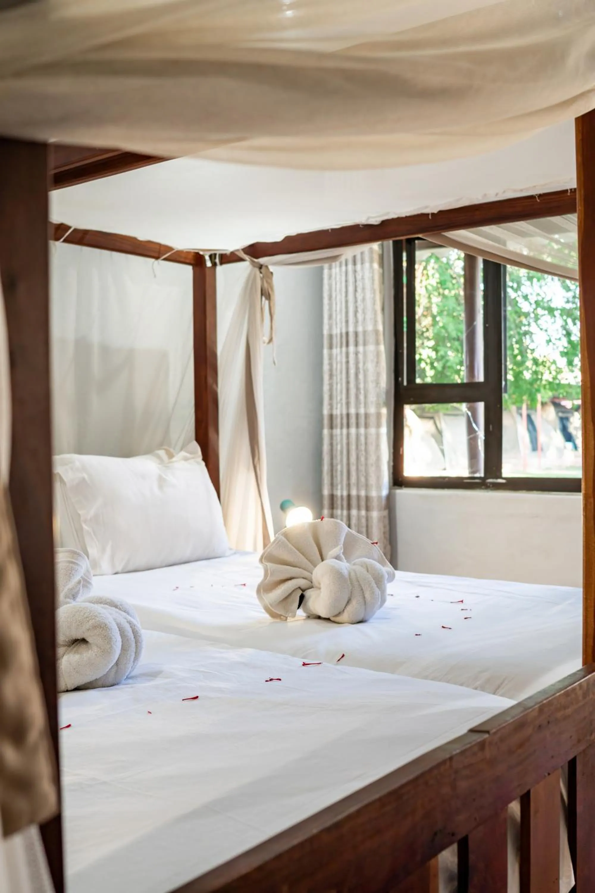 Bed in Shoestrings Backpackers Lodge Vic Falls