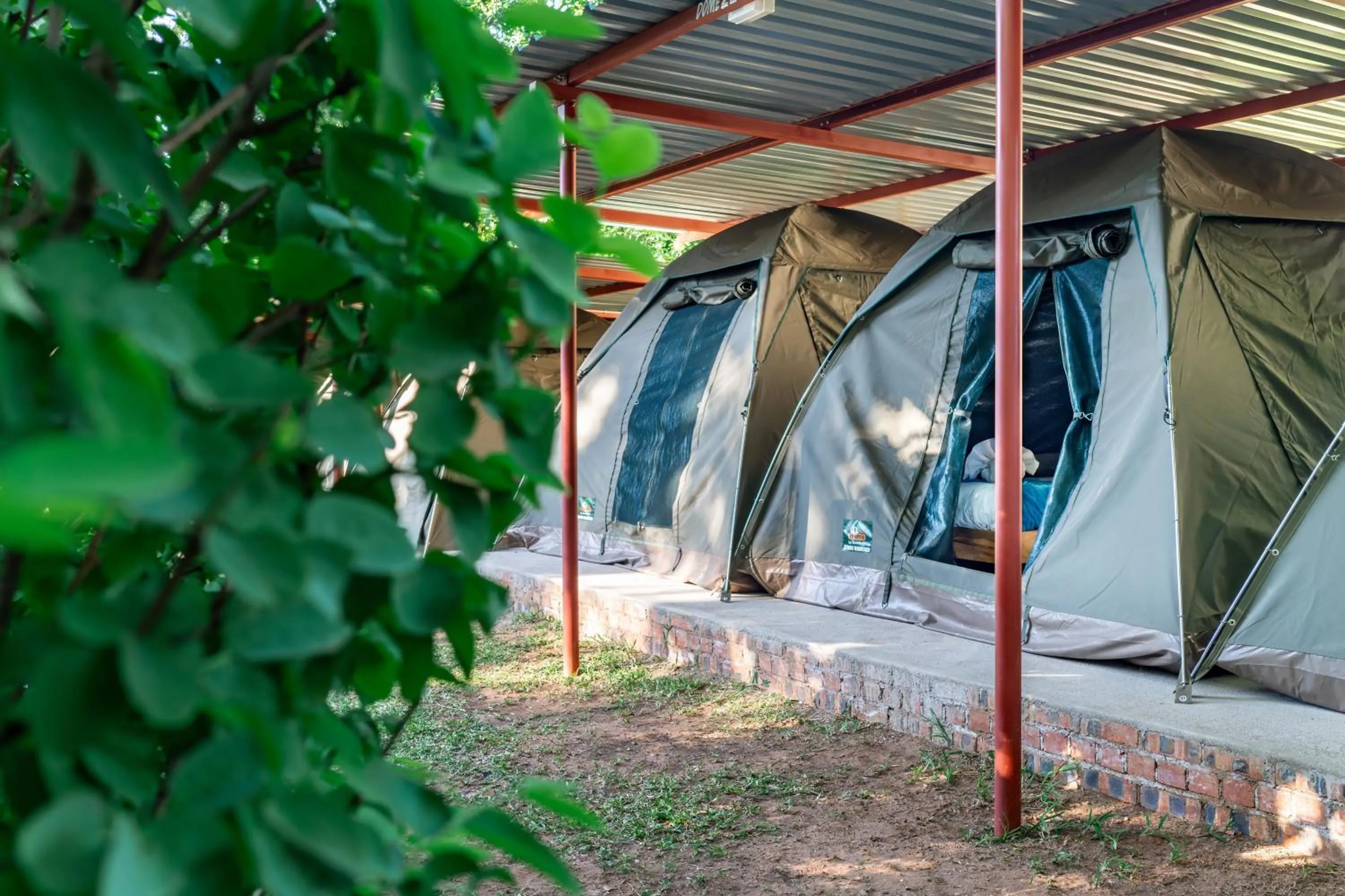 Bedroom in Shoestrings Backpackers Lodge Vic Falls