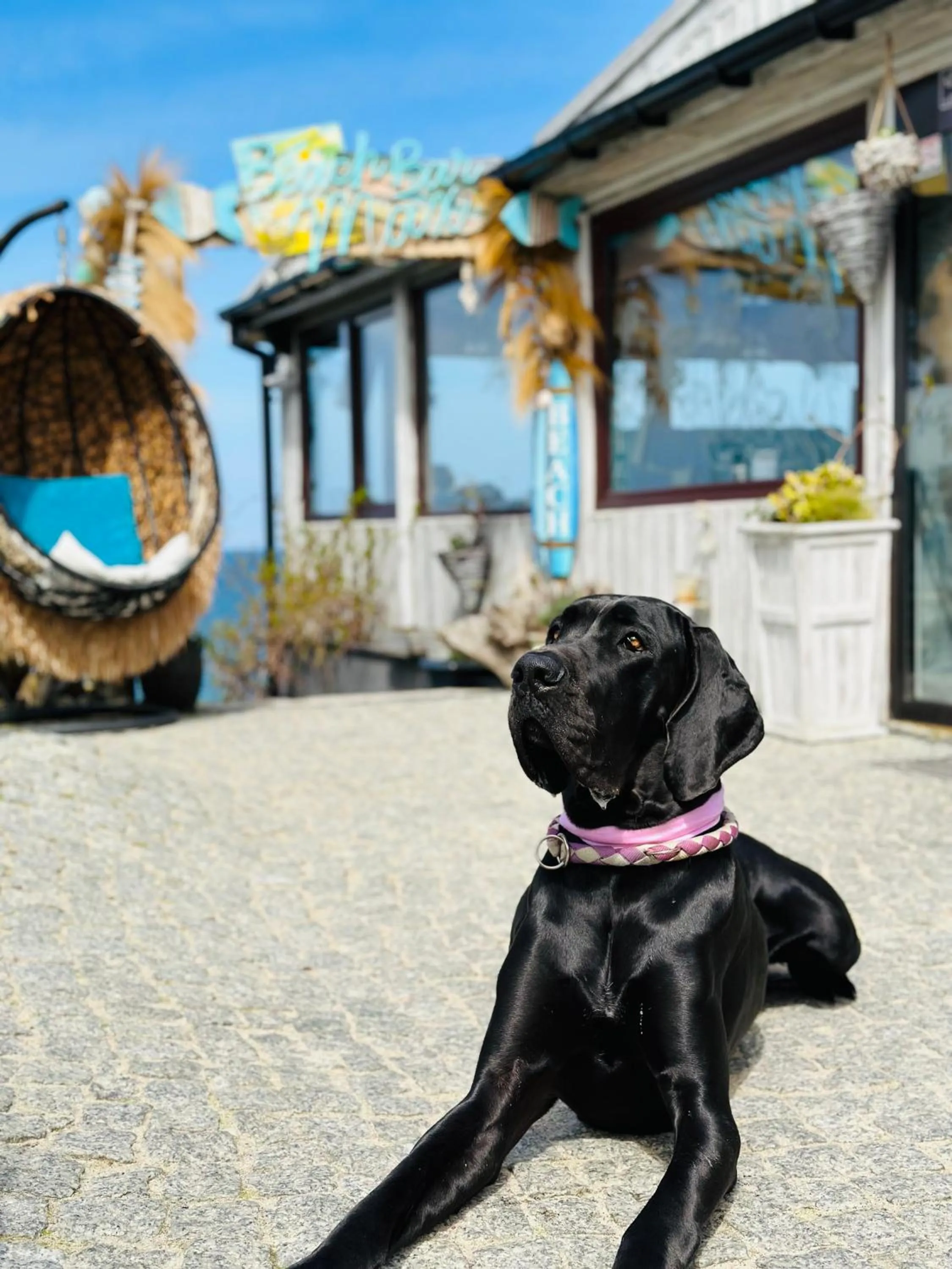 Animals in Max Health Resort SPA