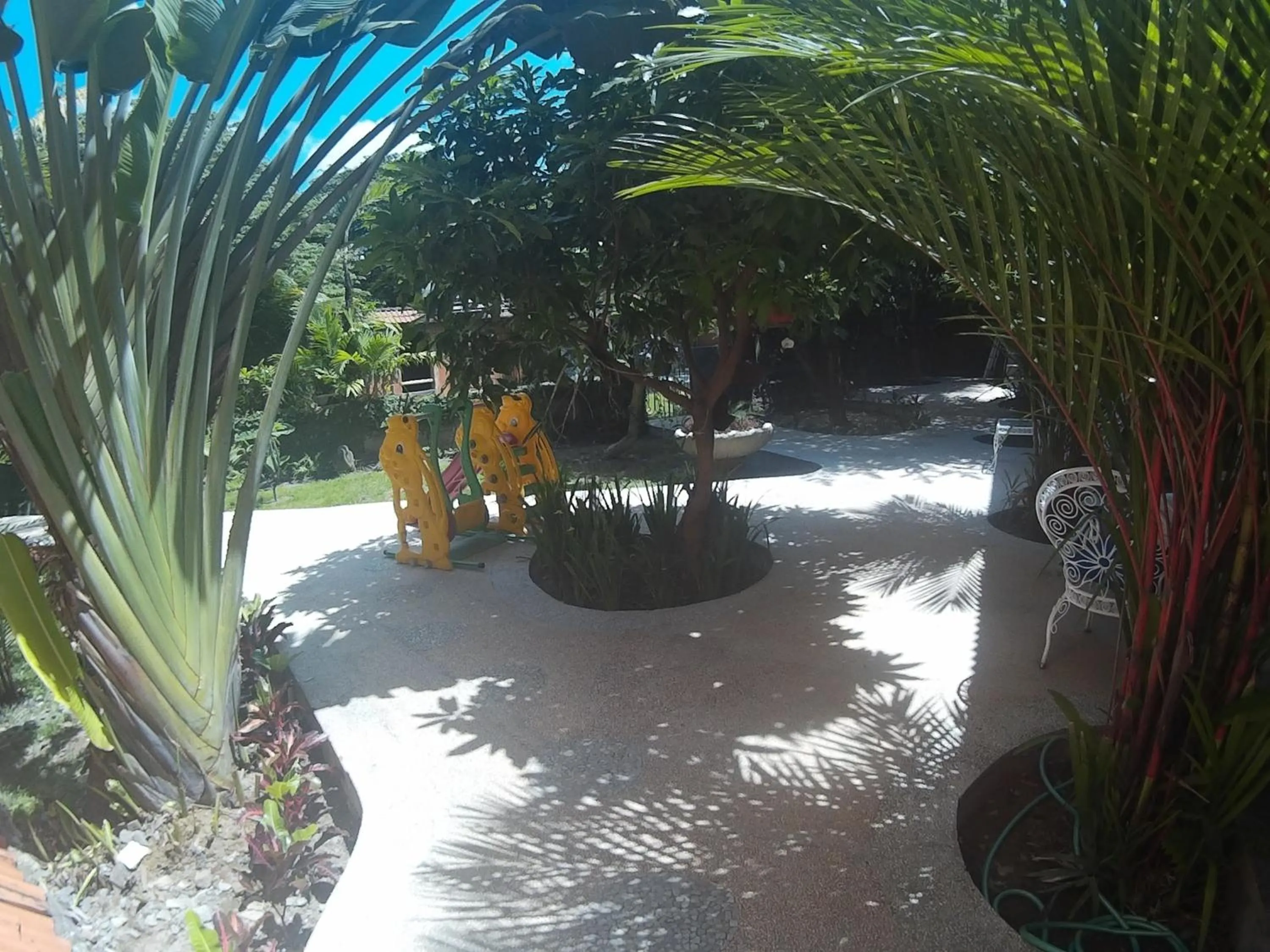 Garden view in Canggu Pinpoint Rooms