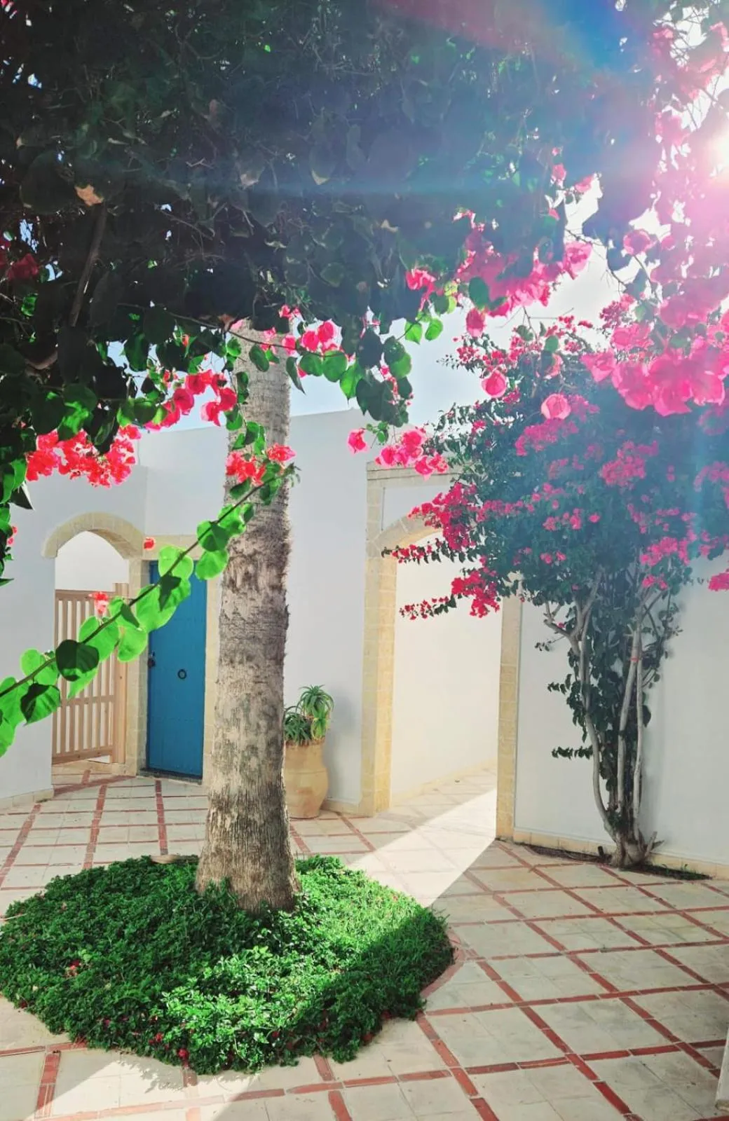 Property building in Hotel Villa Soleil