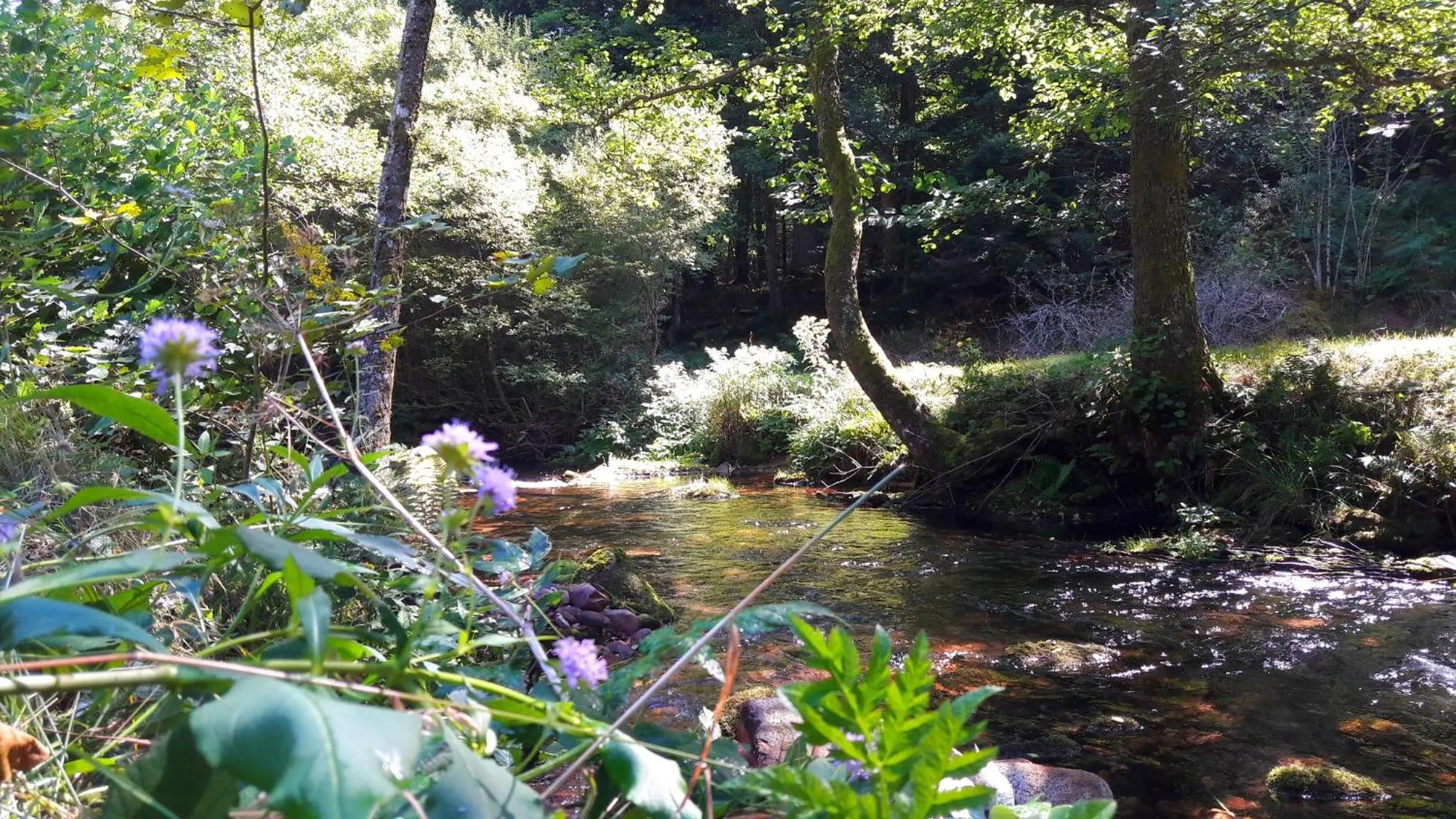 Nearby landmark in Nashira Kurpark Hotel