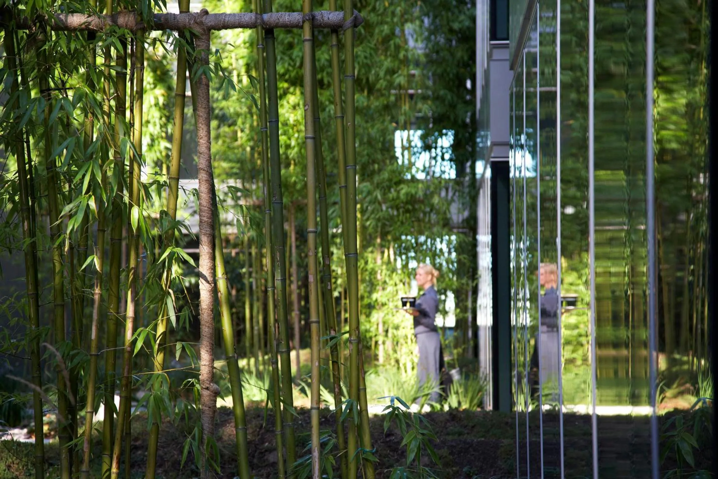 Garden in The Gibson Hotel