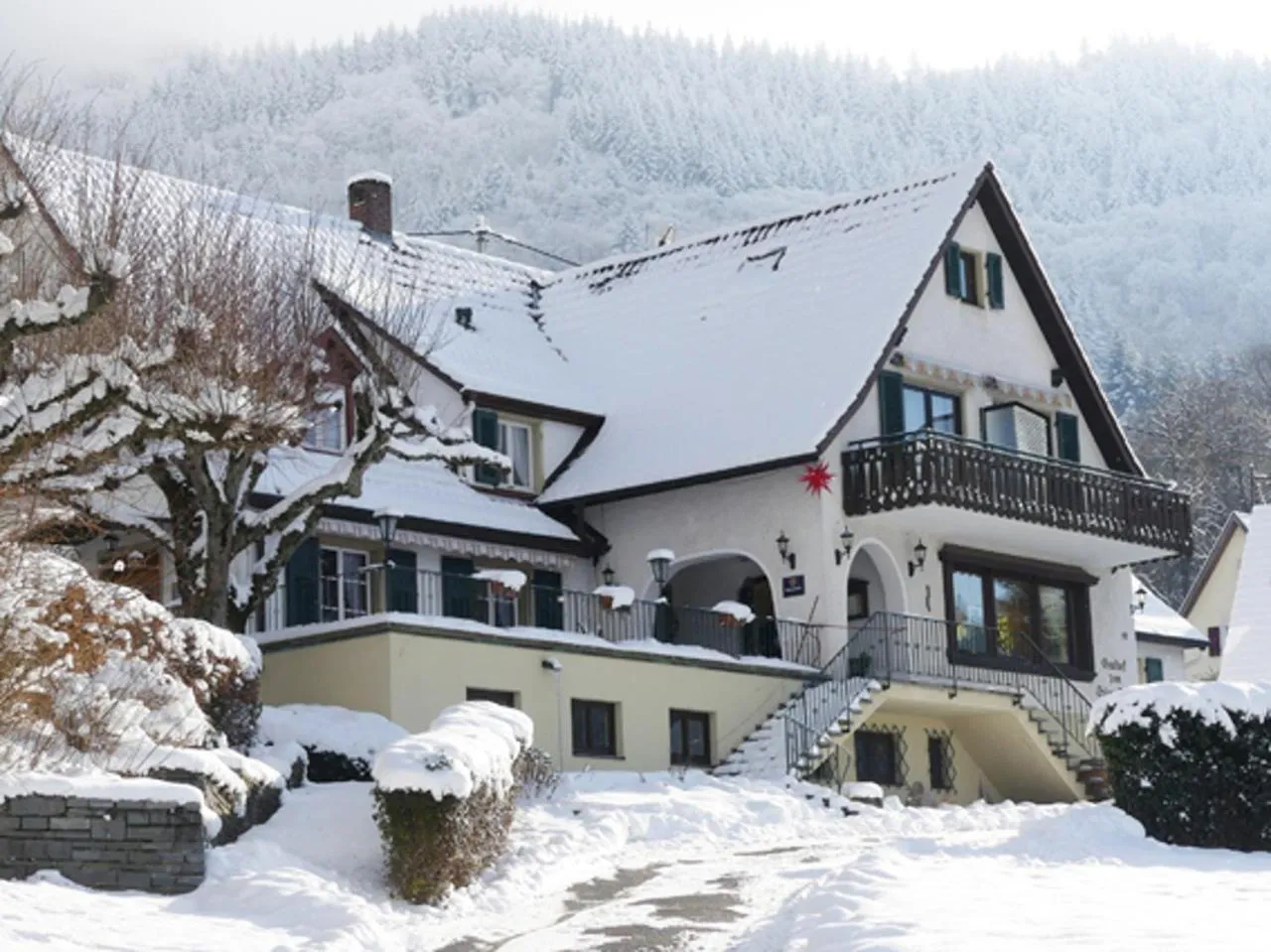 Restaurant/places to eat in Landgasthof Grüner Baum