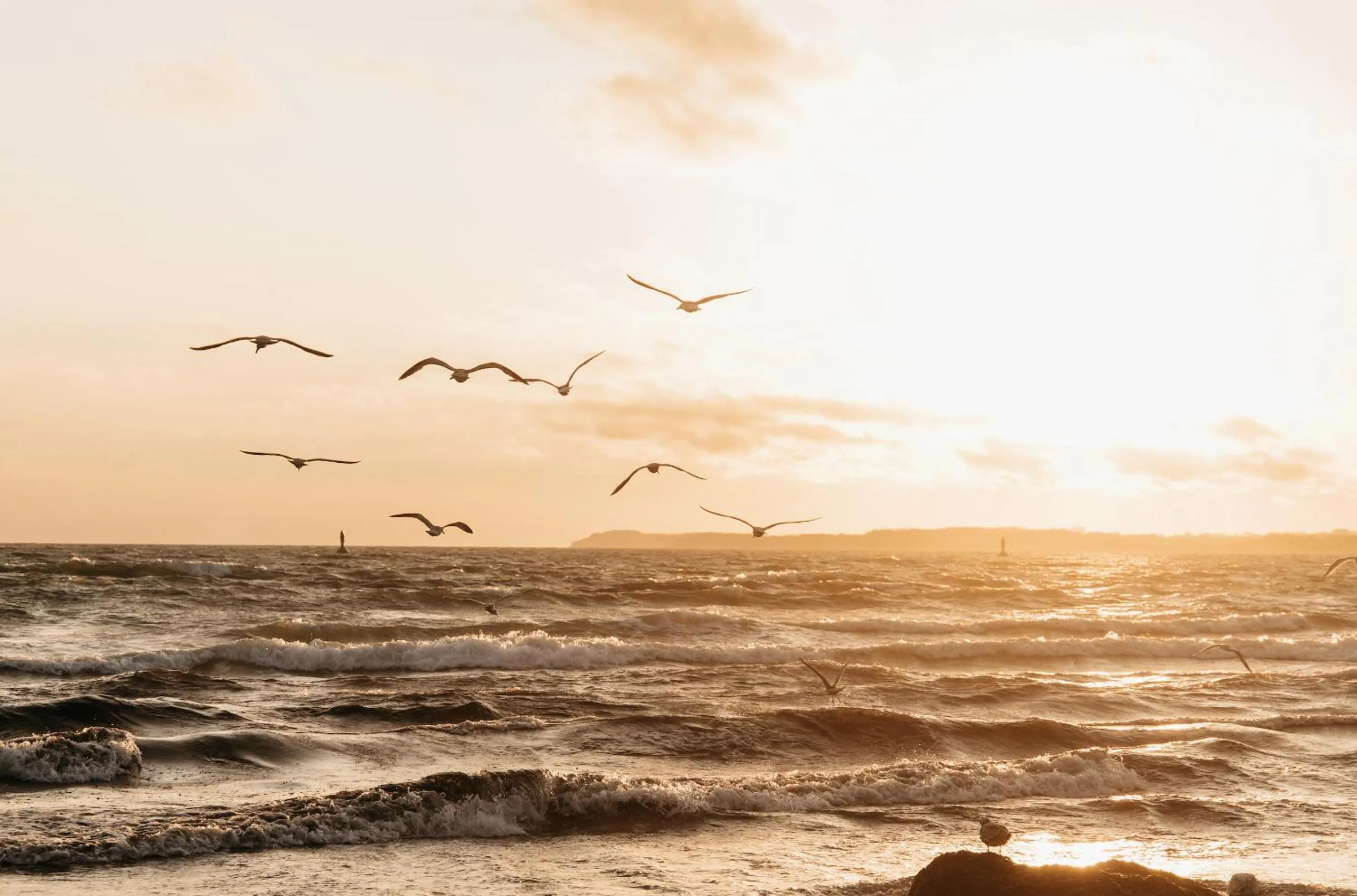 Beach in aja Travemünde