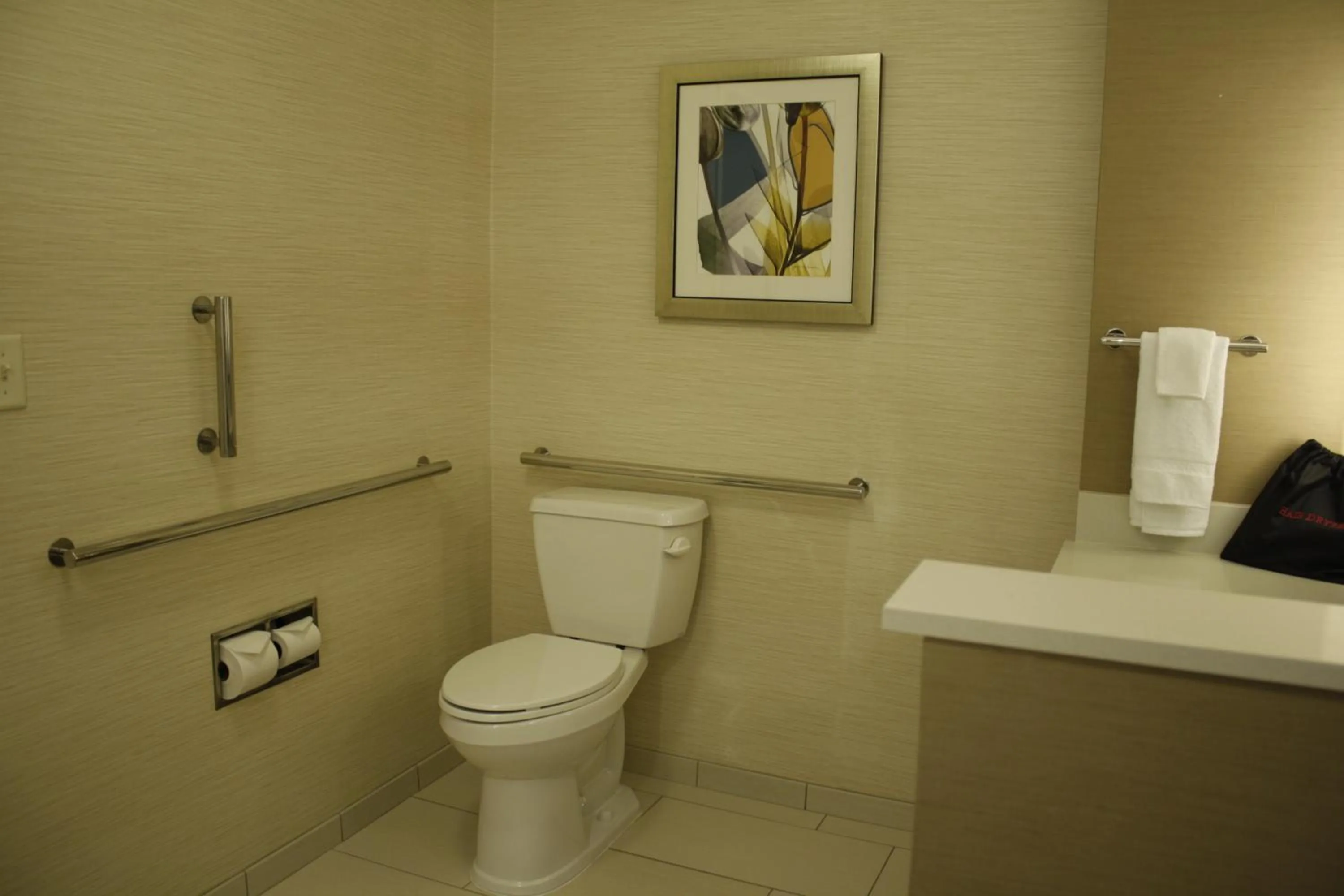 Toilet in Fairfield Inn & Suites by Marriott Detroit Lakes