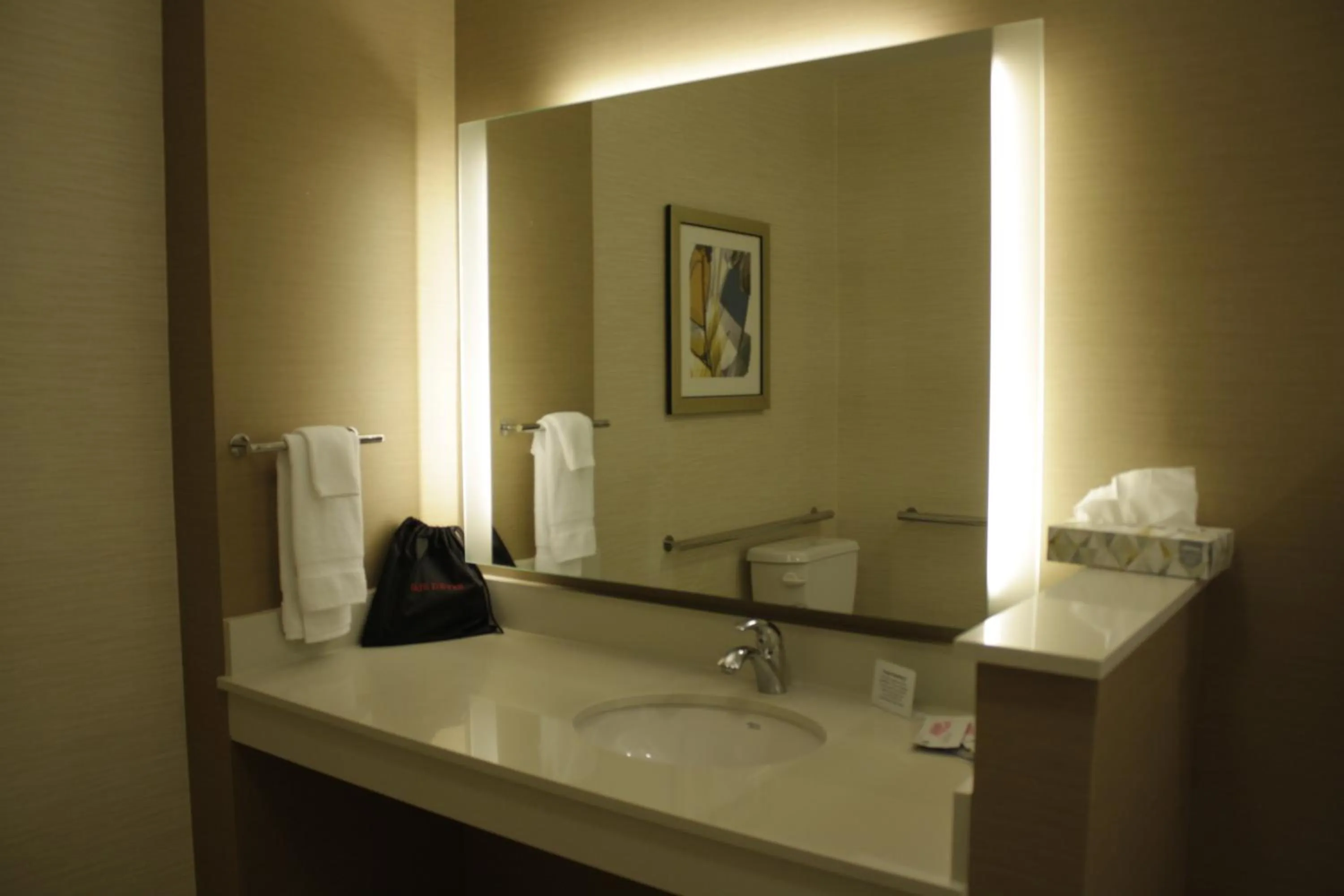 Bathroom in Fairfield Inn & Suites by Marriott Detroit Lakes