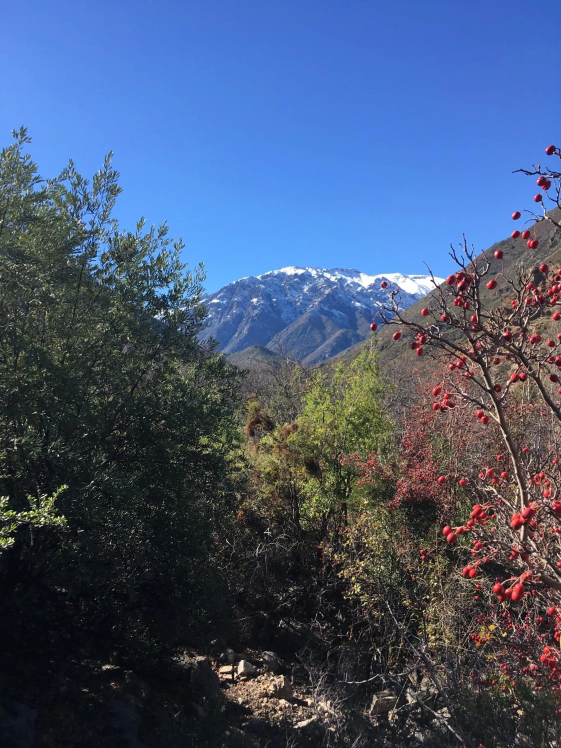 Property building in Casona El Resguardo