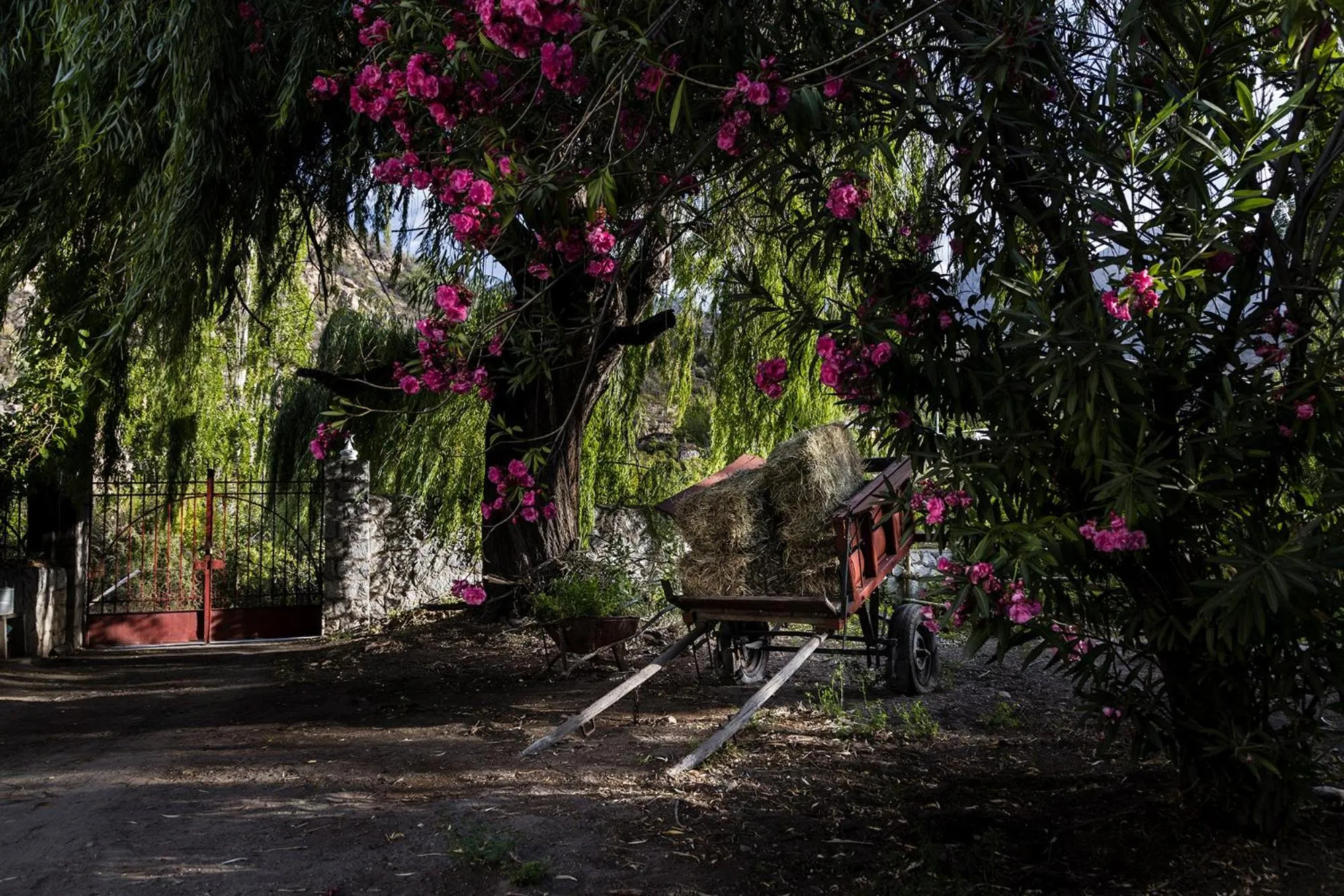 Spring in Casona El Resguardo