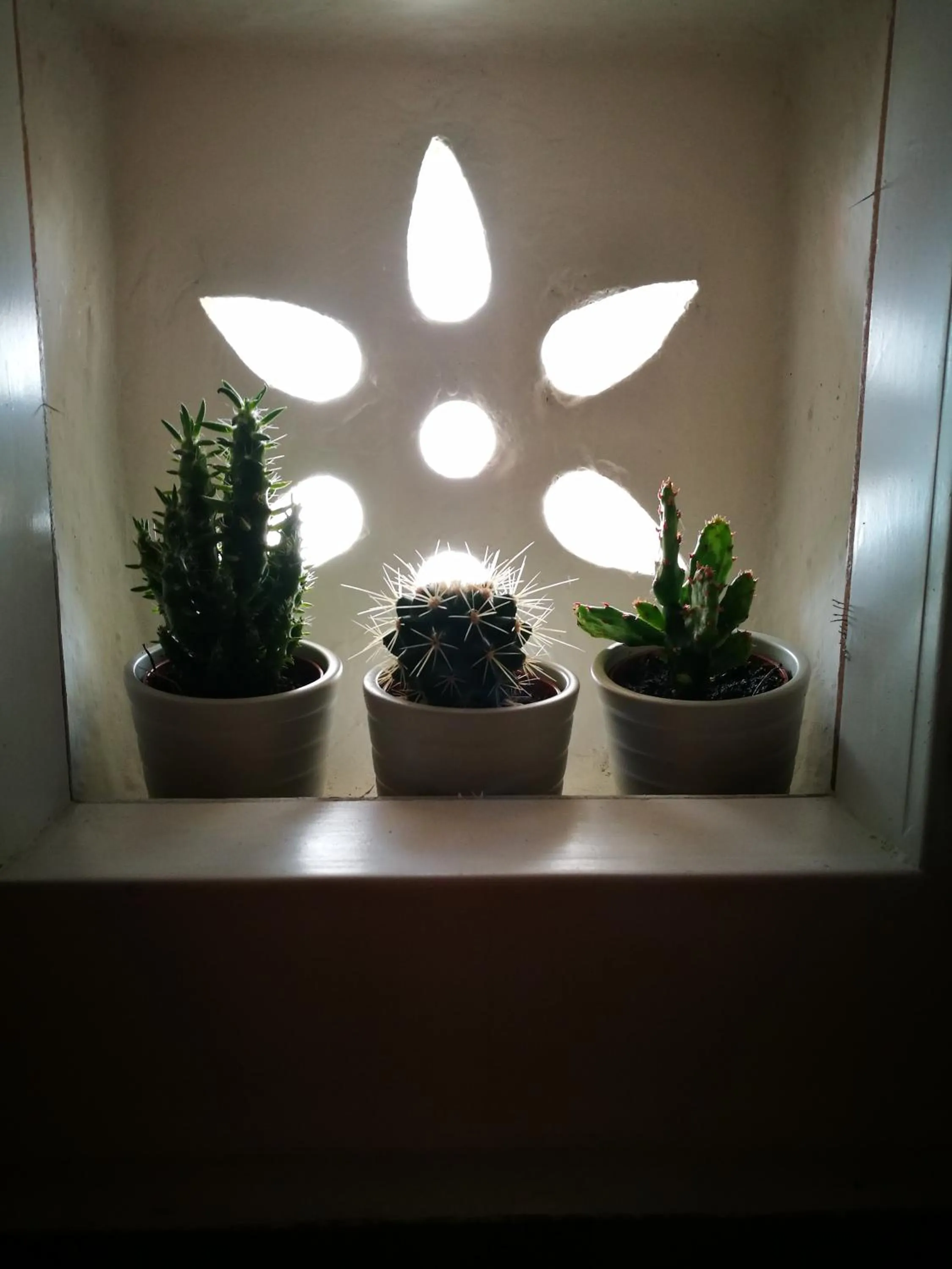 Bathroom in TerraViva B&B