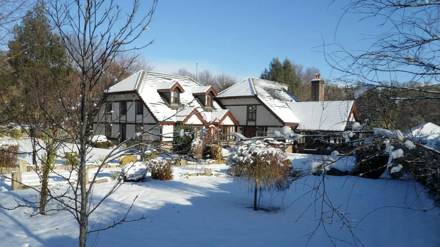 Property building in Tudor Lodge