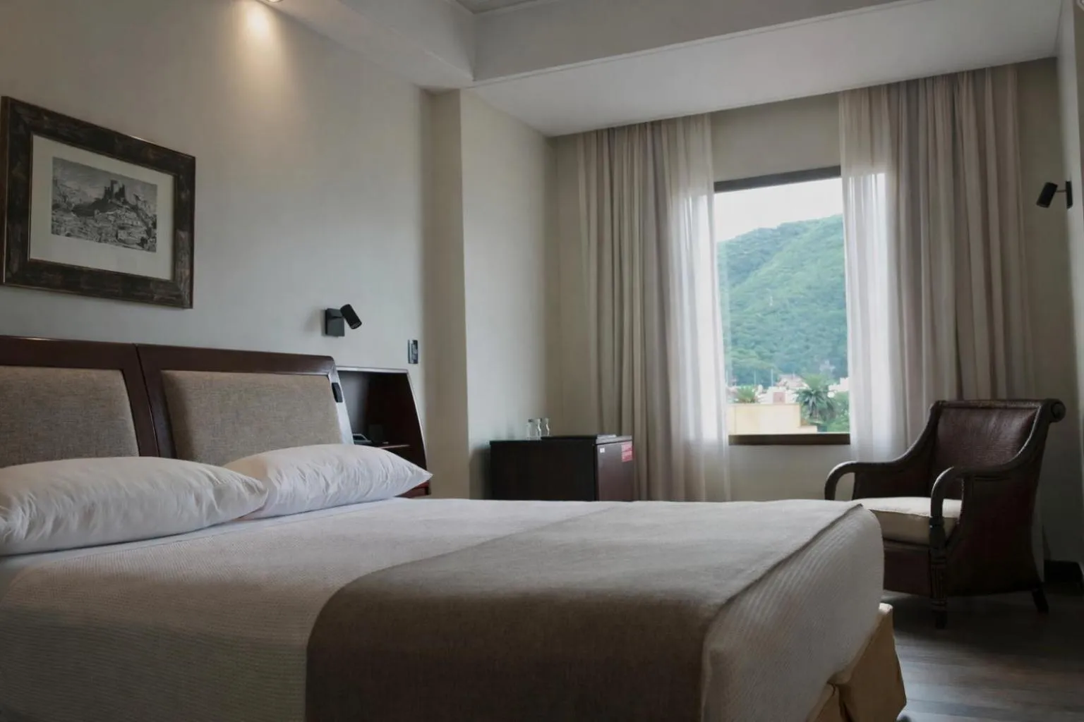 Executive Double Room - single occupancy in Hotel Almería