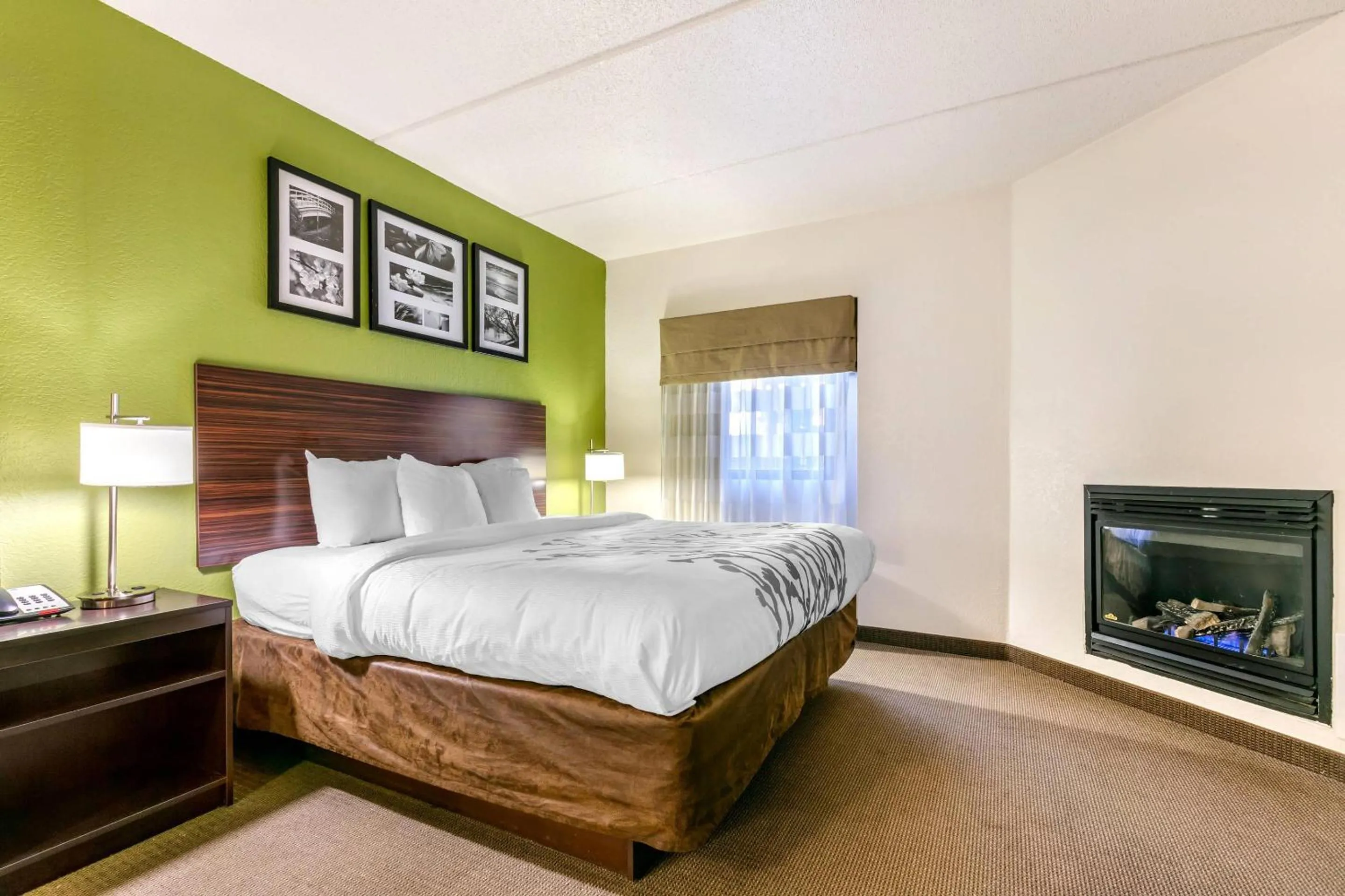 Bedroom, Bed in Sleep Inn & Suites near Sports World Blvd
