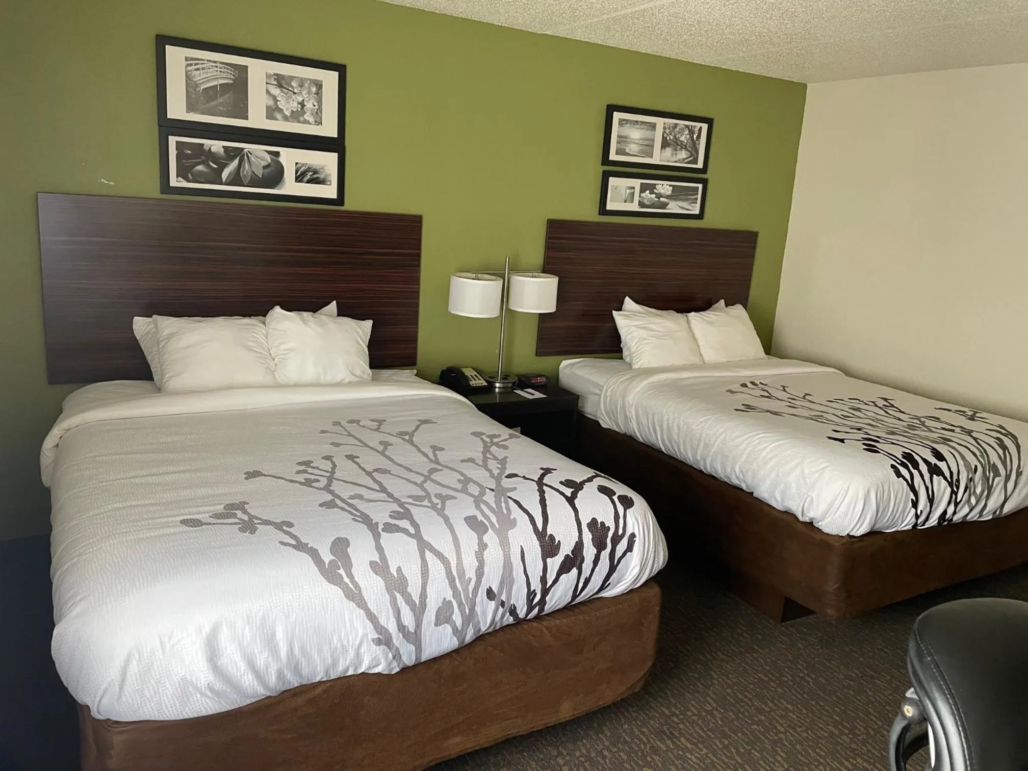 Balcony/Terrace, Bed in Sleep Inn & Suites near Sports World Blvd