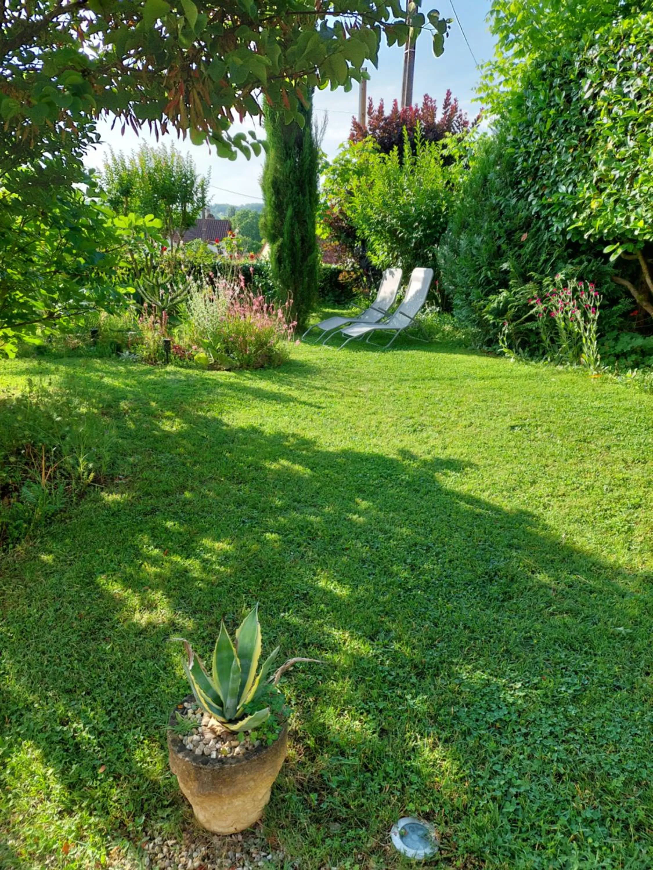 Garden in Rue du Château
