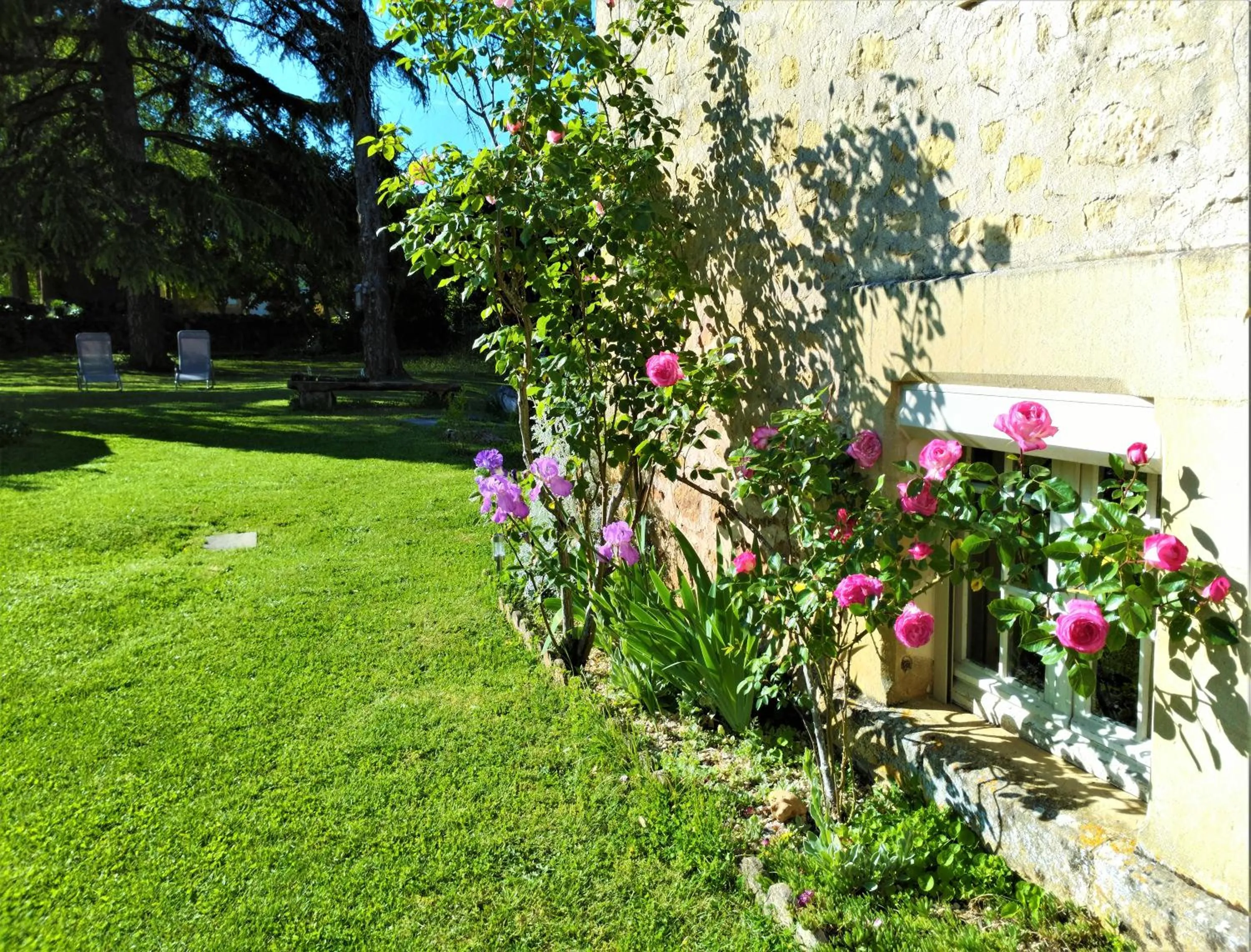 Garden in Rue du Château