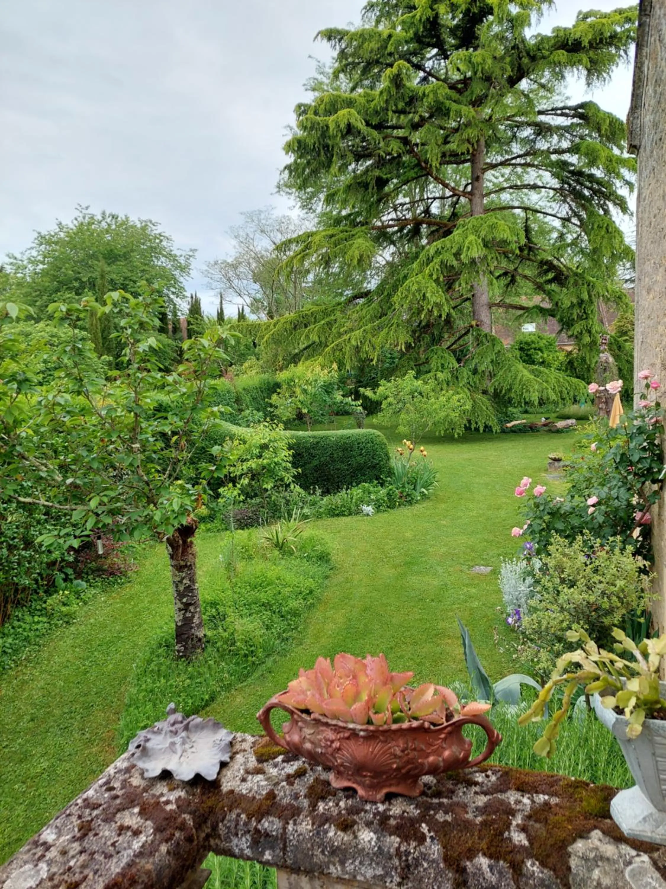 Garden in Rue du Château