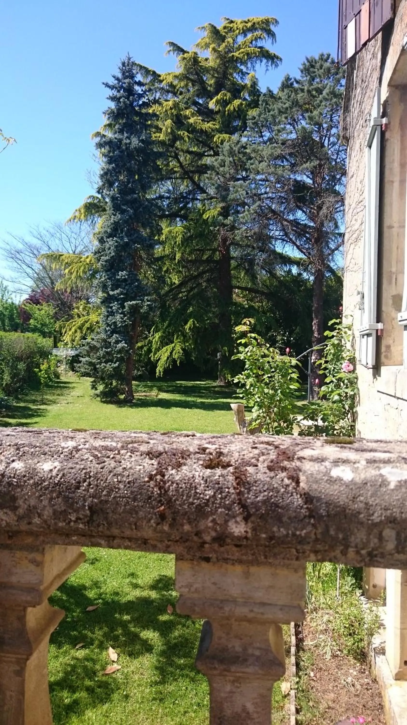 Garden in Rue du Château