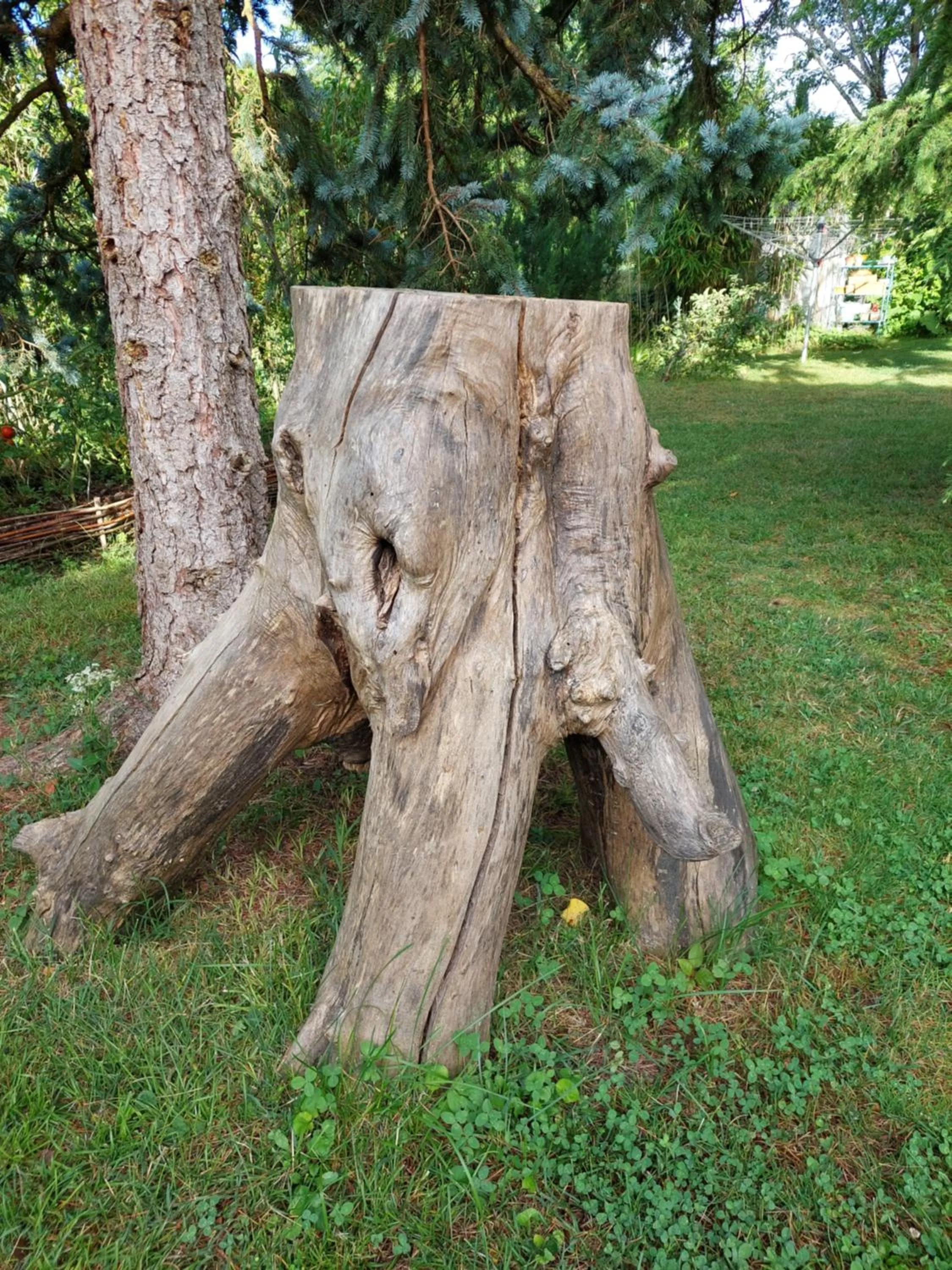 Garden in Rue du Château