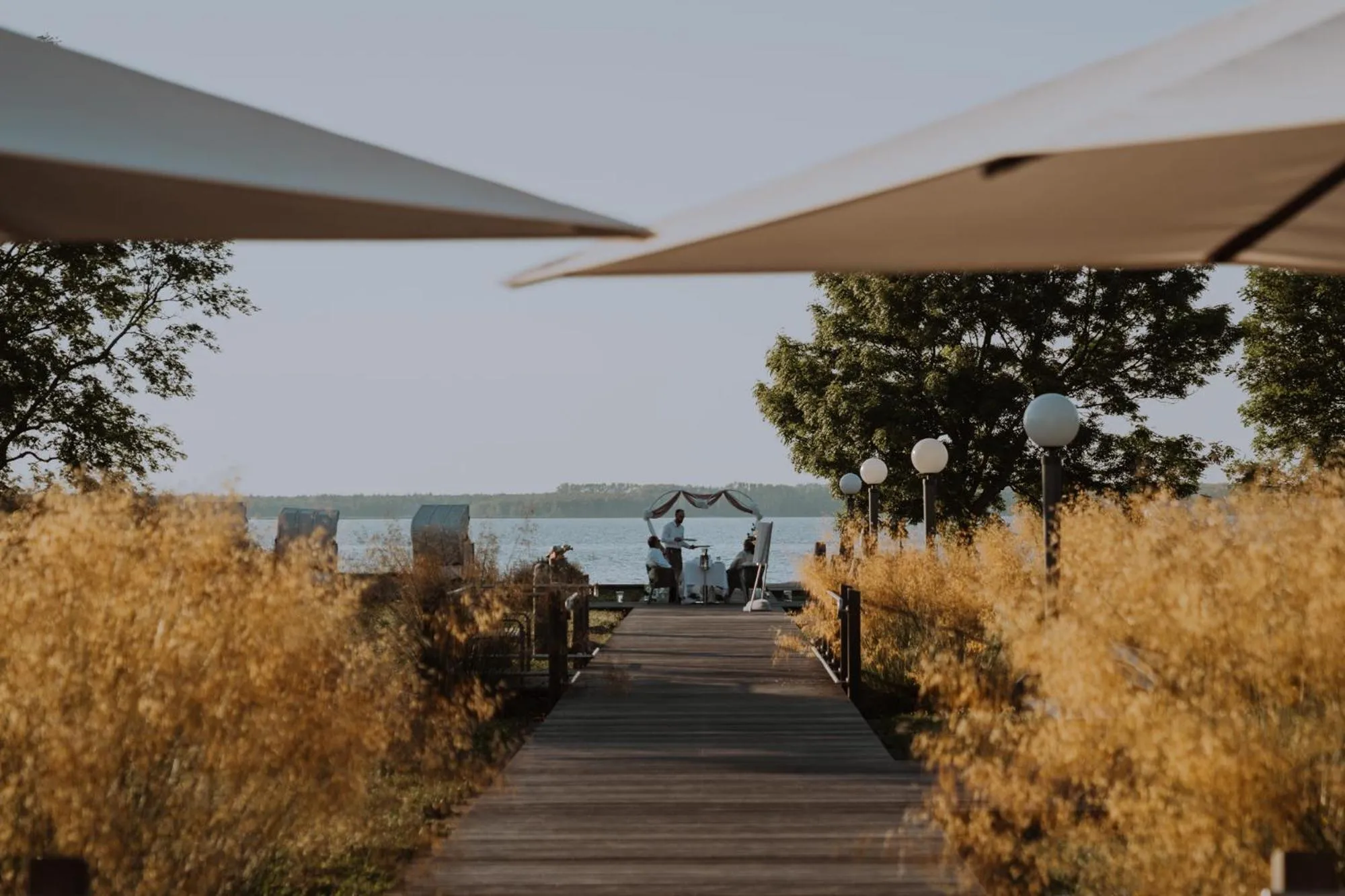 Garden view in Aedenlife Hotel & Resort Rügen