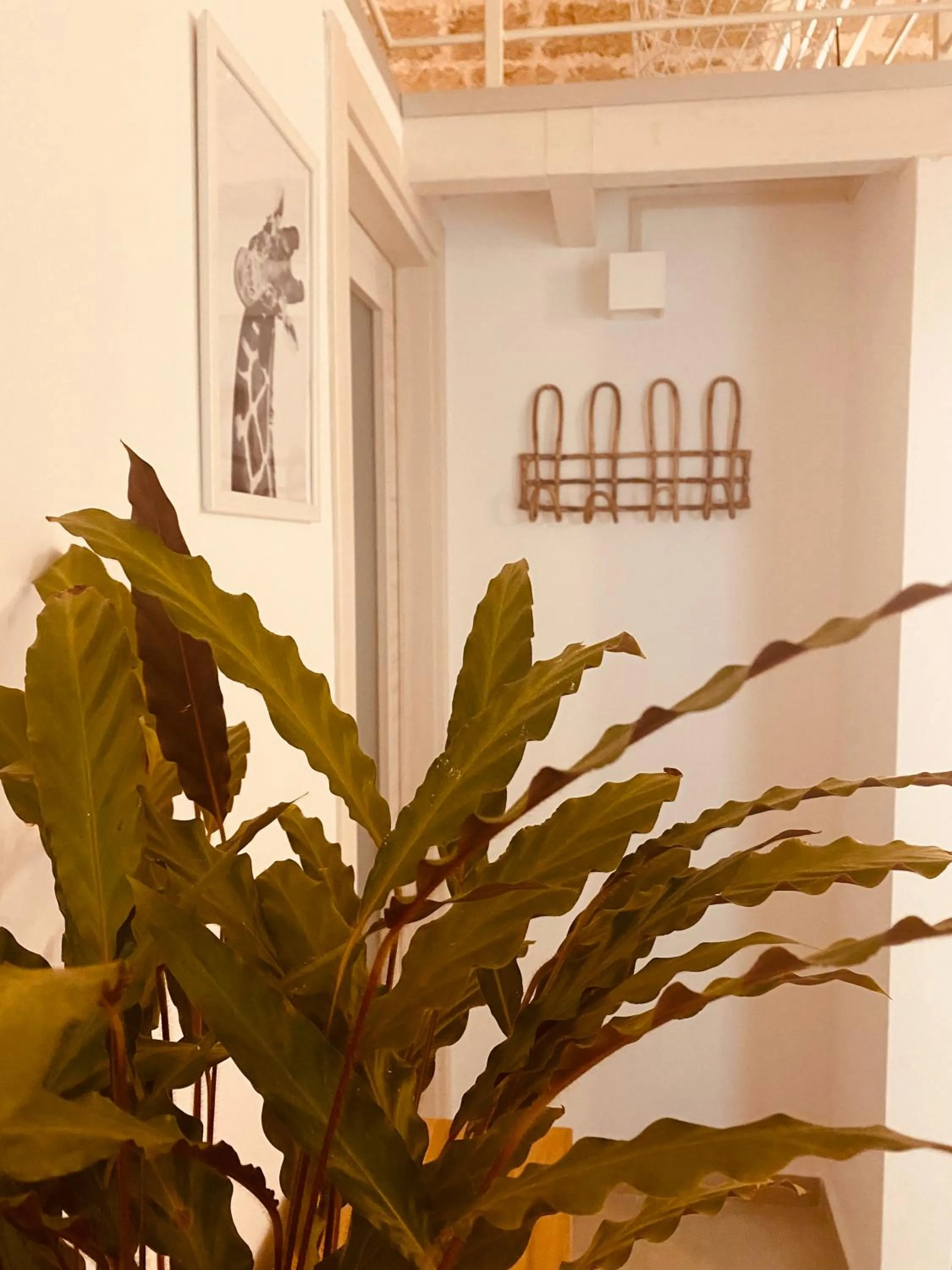 B&B Corte San Giorgio