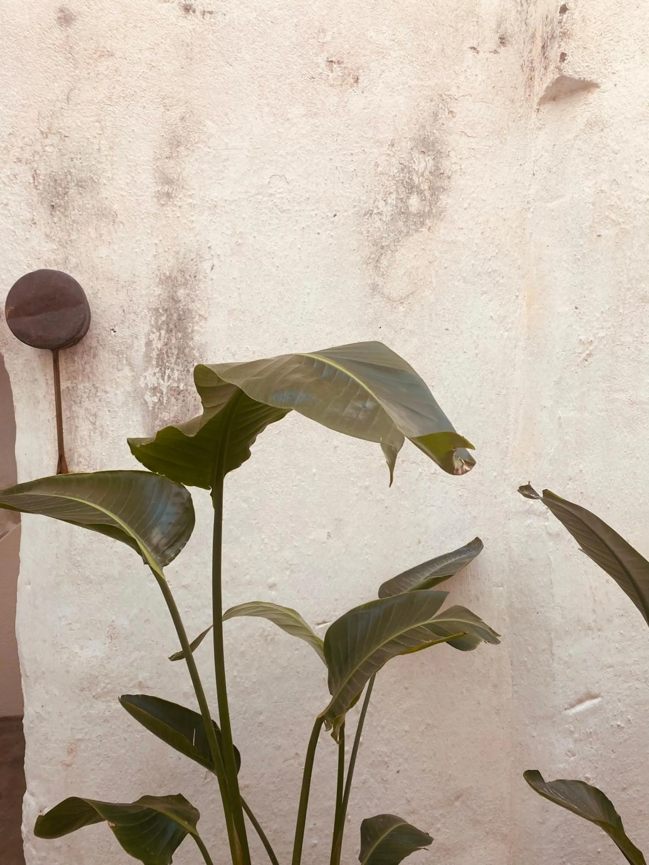 B&B Corte San Giorgio