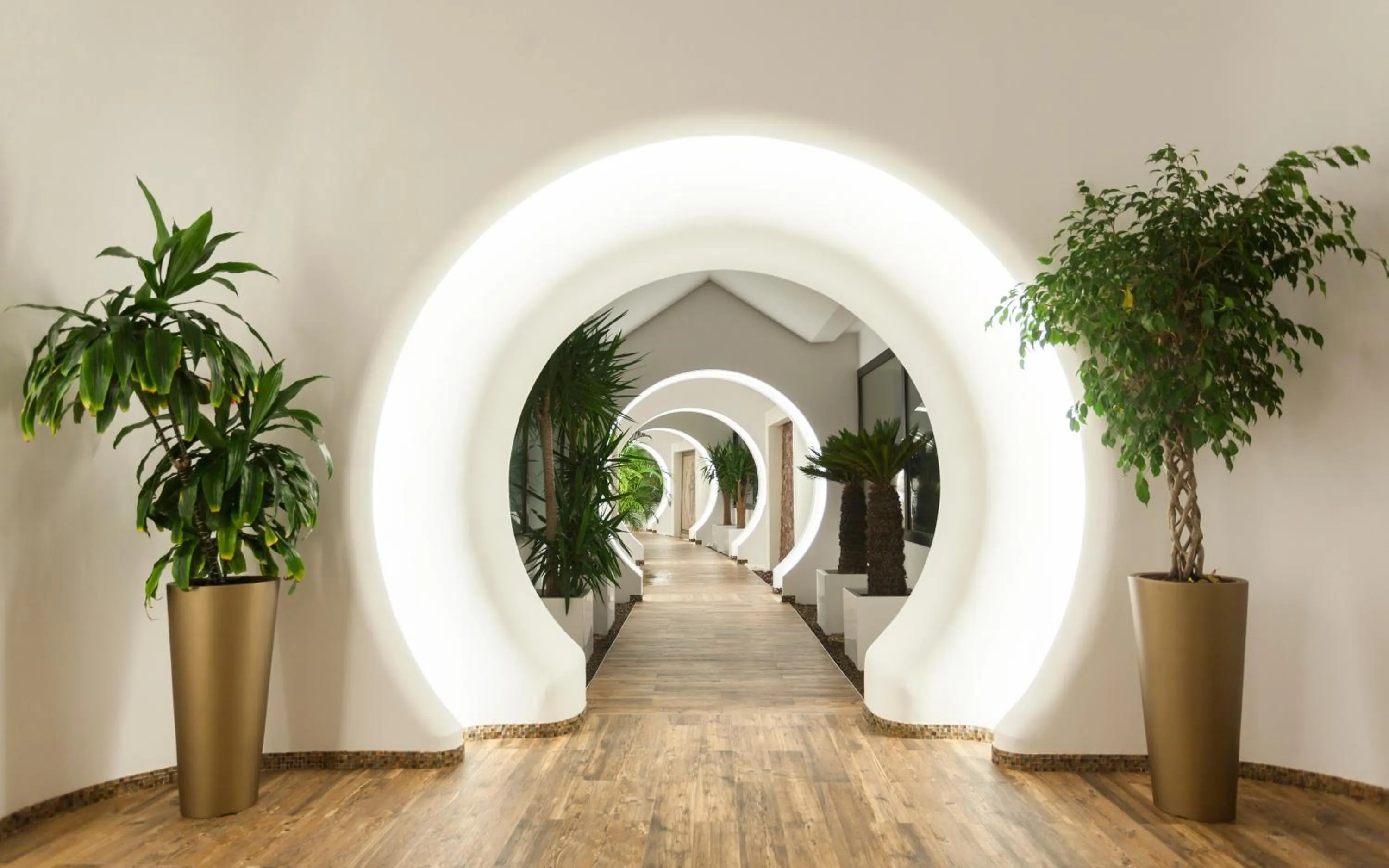 Spa and wellness centre/facilities in La Cigale Tabarka