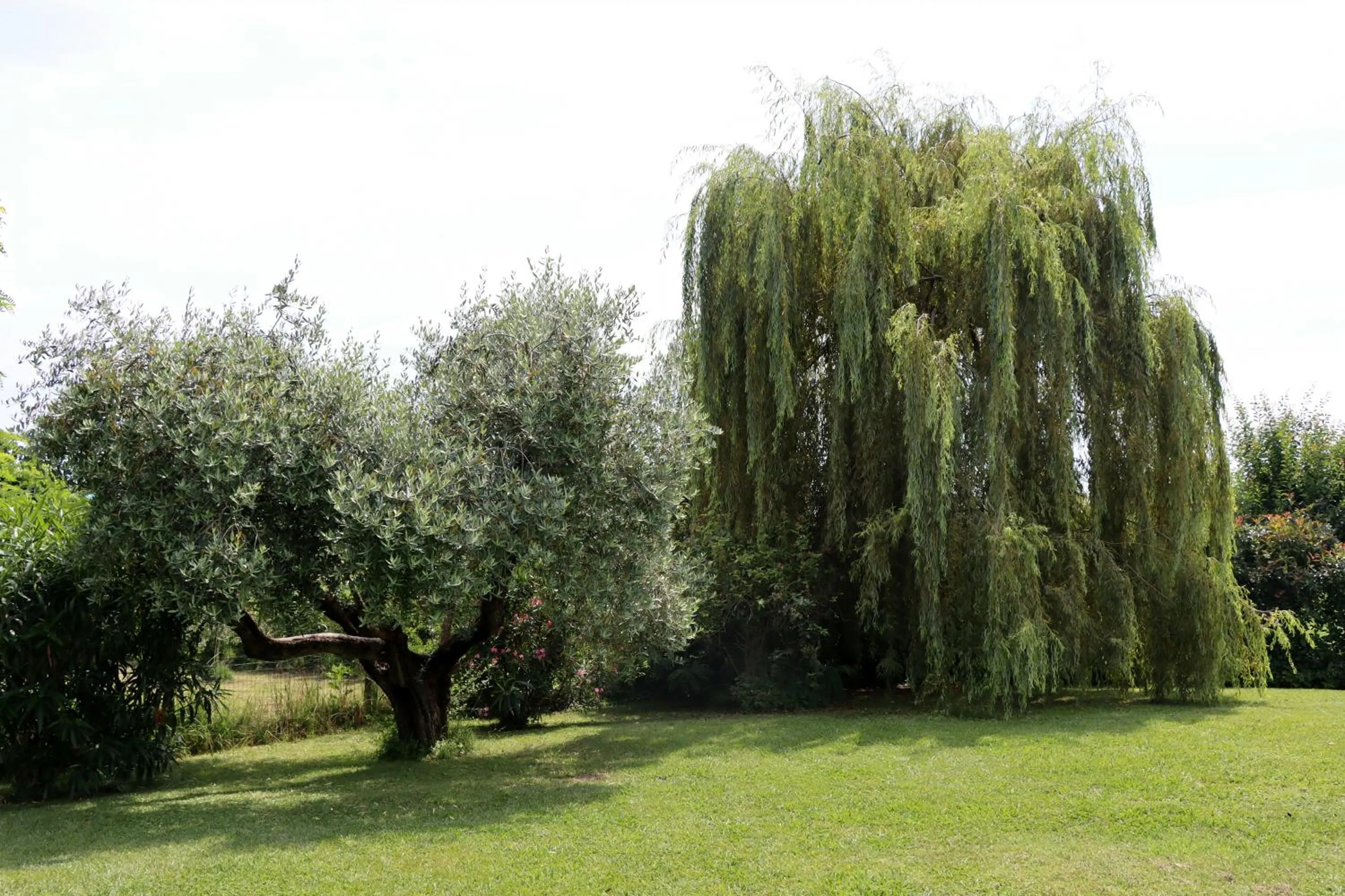 Day in Il Toscanello