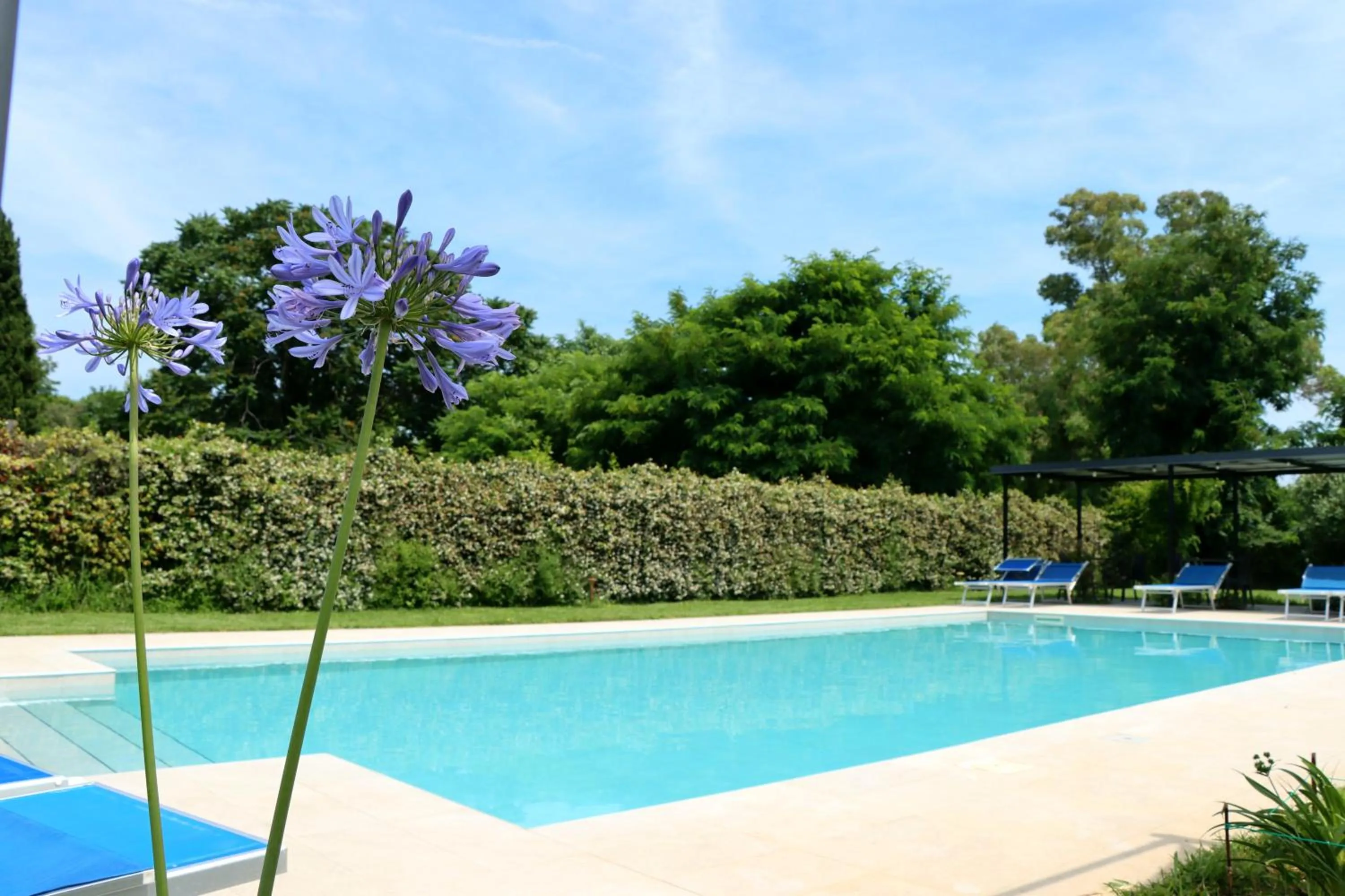 Day in Il Toscanello