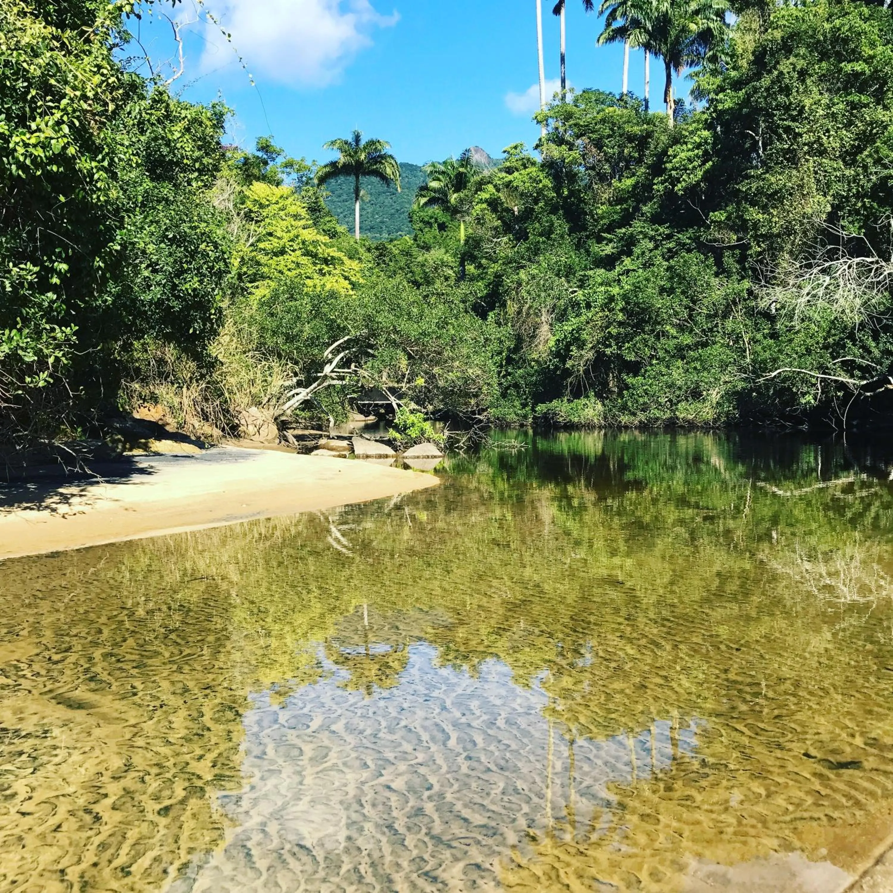 Nearby landmark in Biergarten Hostel
