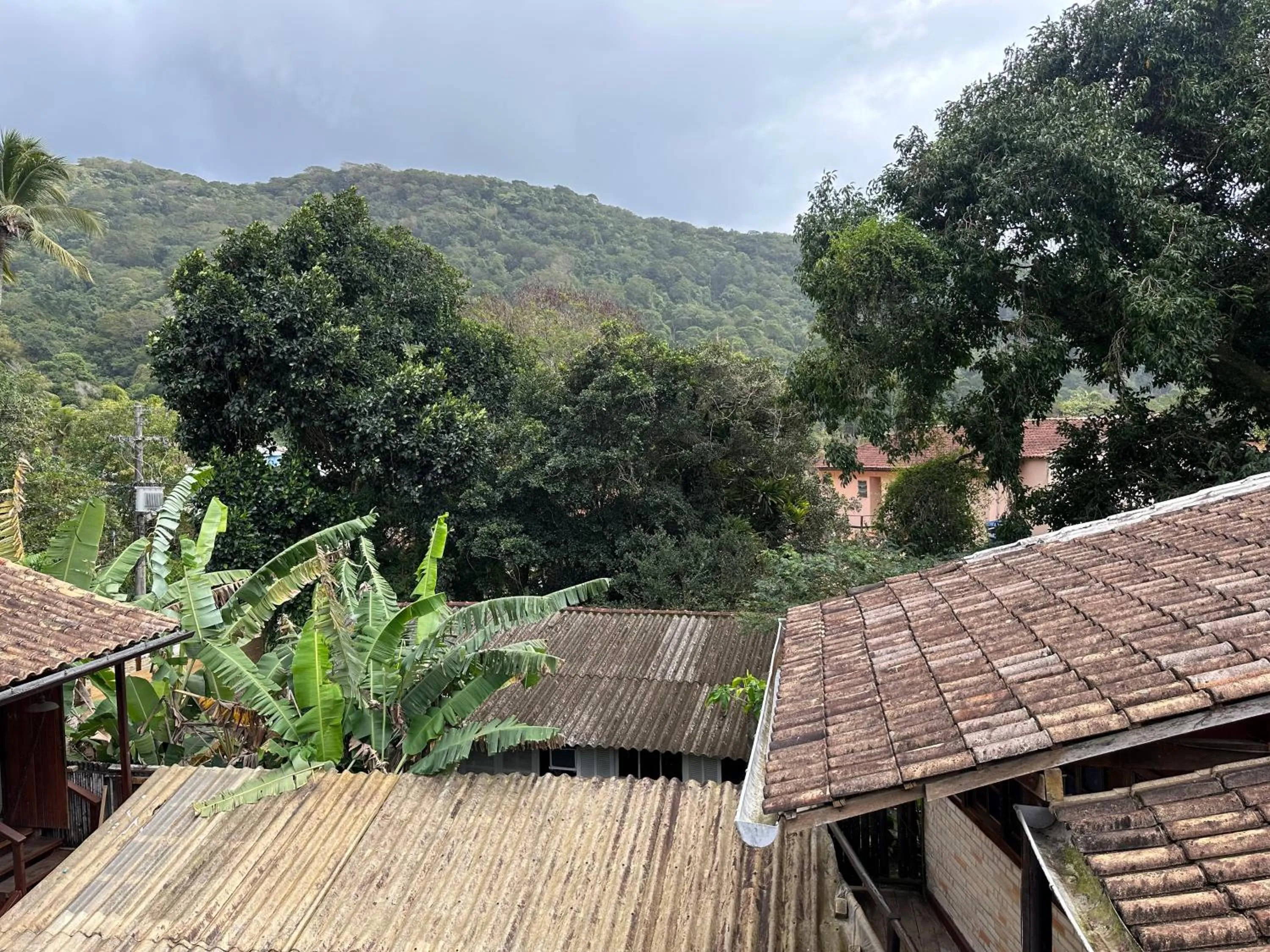 Natural landscape in Biergarten Hostel