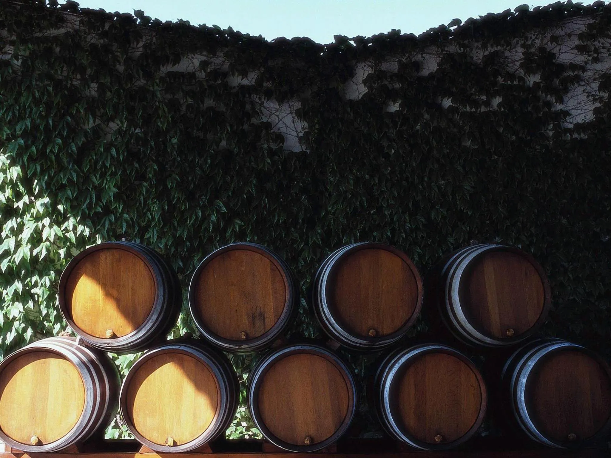 Other in Novotel Bordeaux Centre Gare Saint Jean