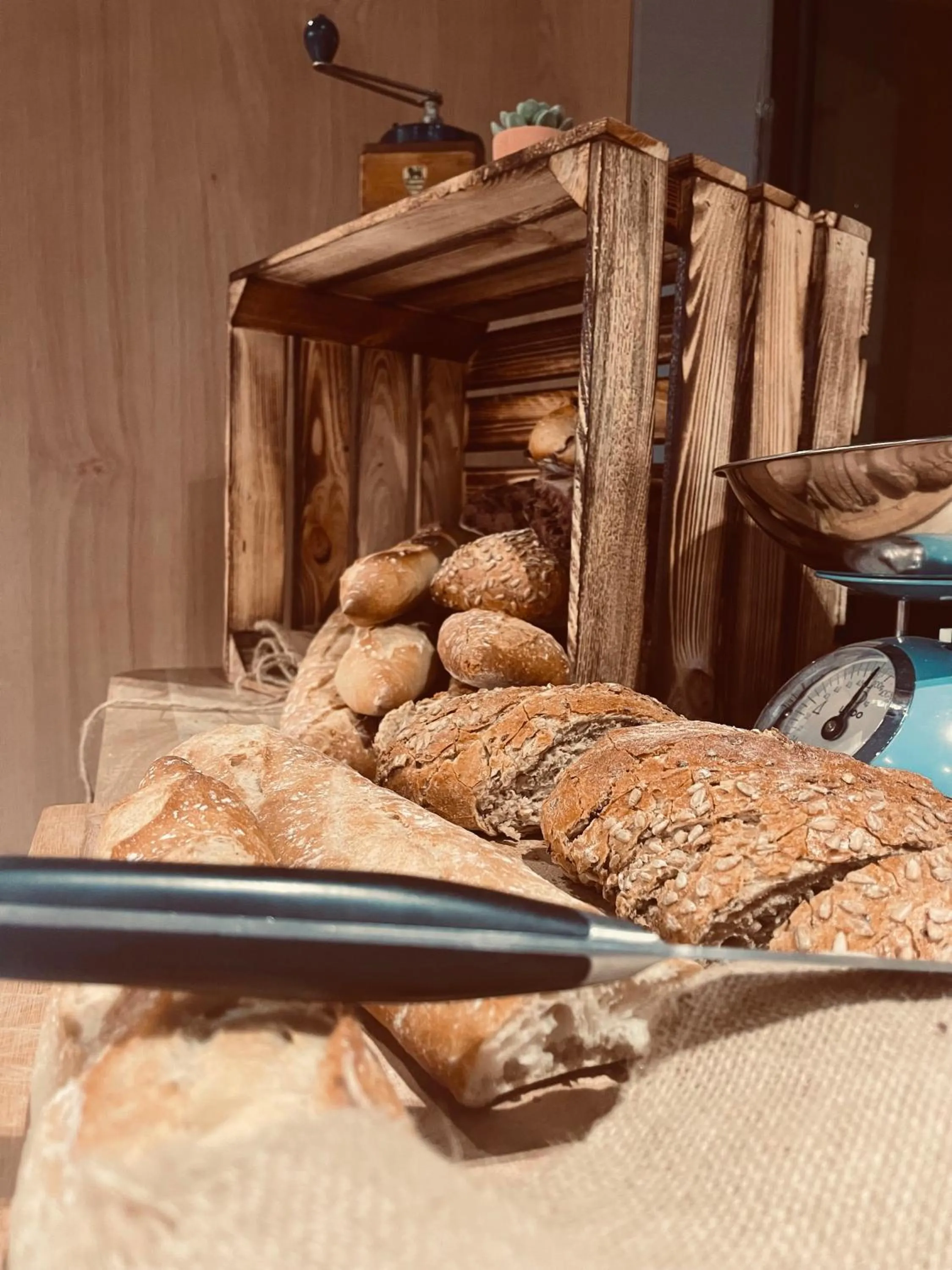 Breakfast in Novotel Bordeaux Centre Gare Saint Jean