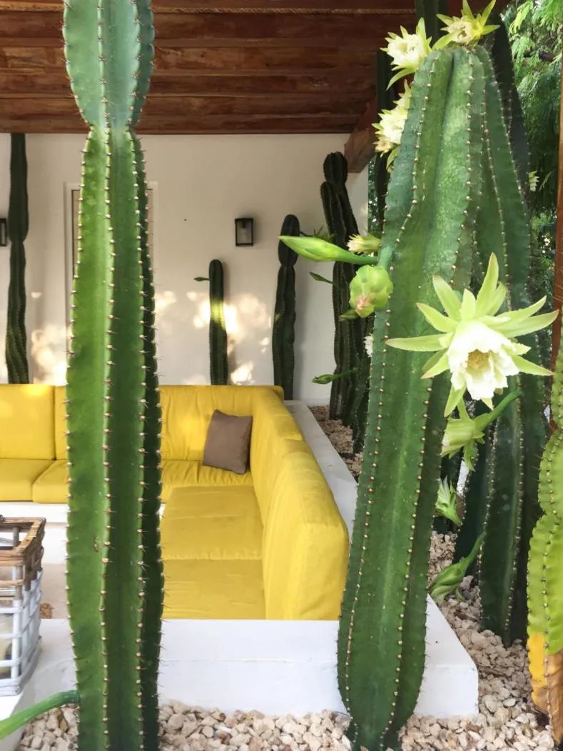 Luxury Private Villas , Private Pool, Private garden, Jacuzzi, 24hours security