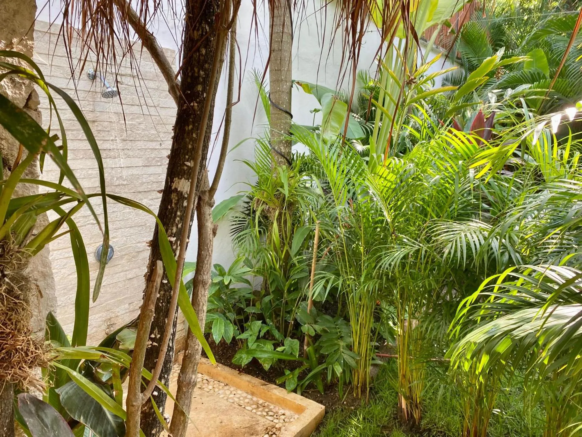 Luxury Private Villas , Private Pool, Private garden, Jacuzzi, 24hours security