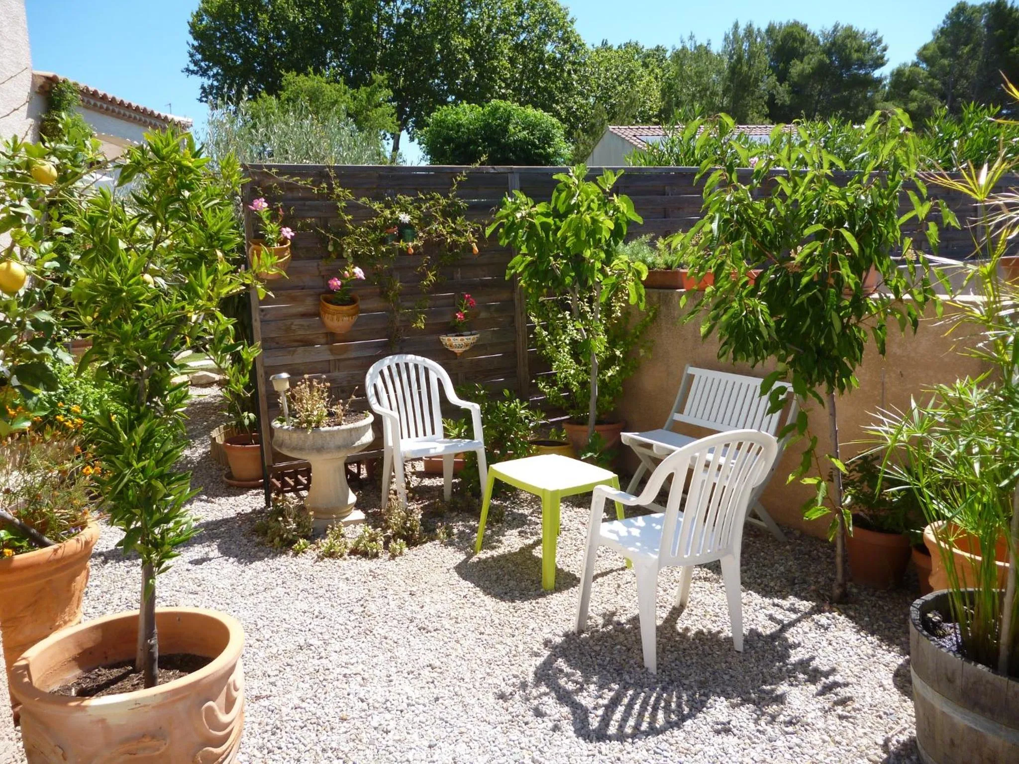 Garden in Chez Patrick Roujan