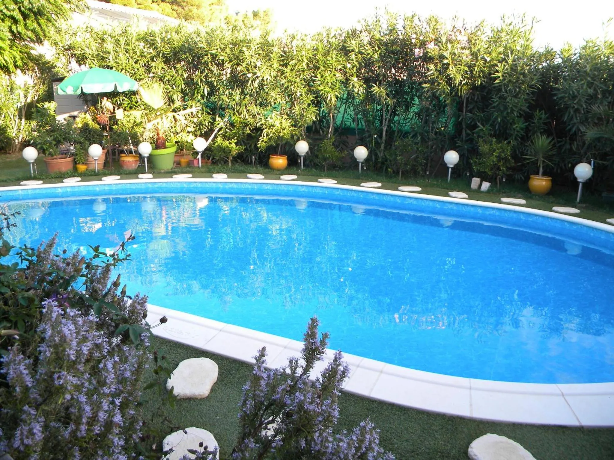 Garden in Chez Patrick Roujan