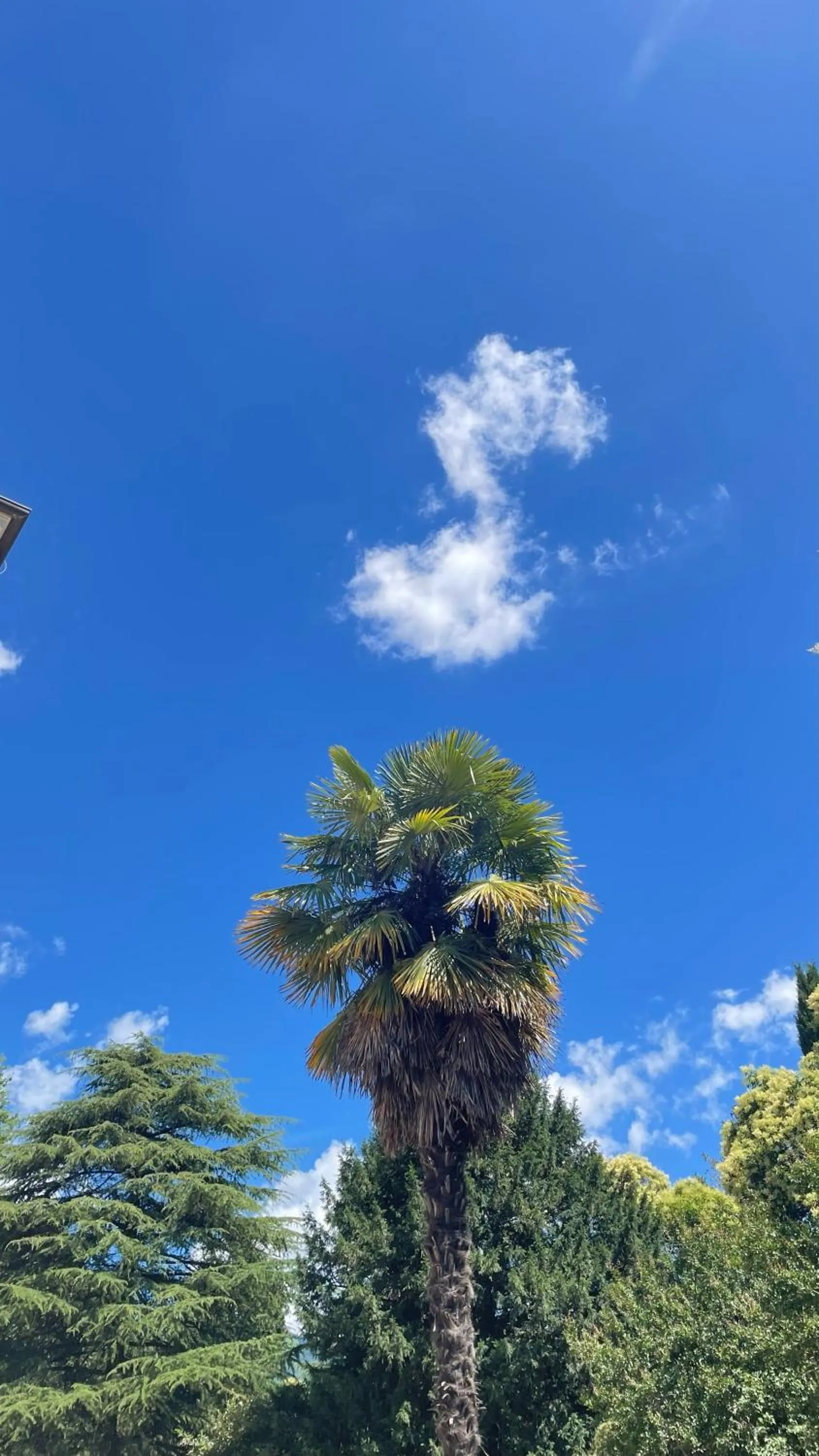 Summer in Villa Scalabrini